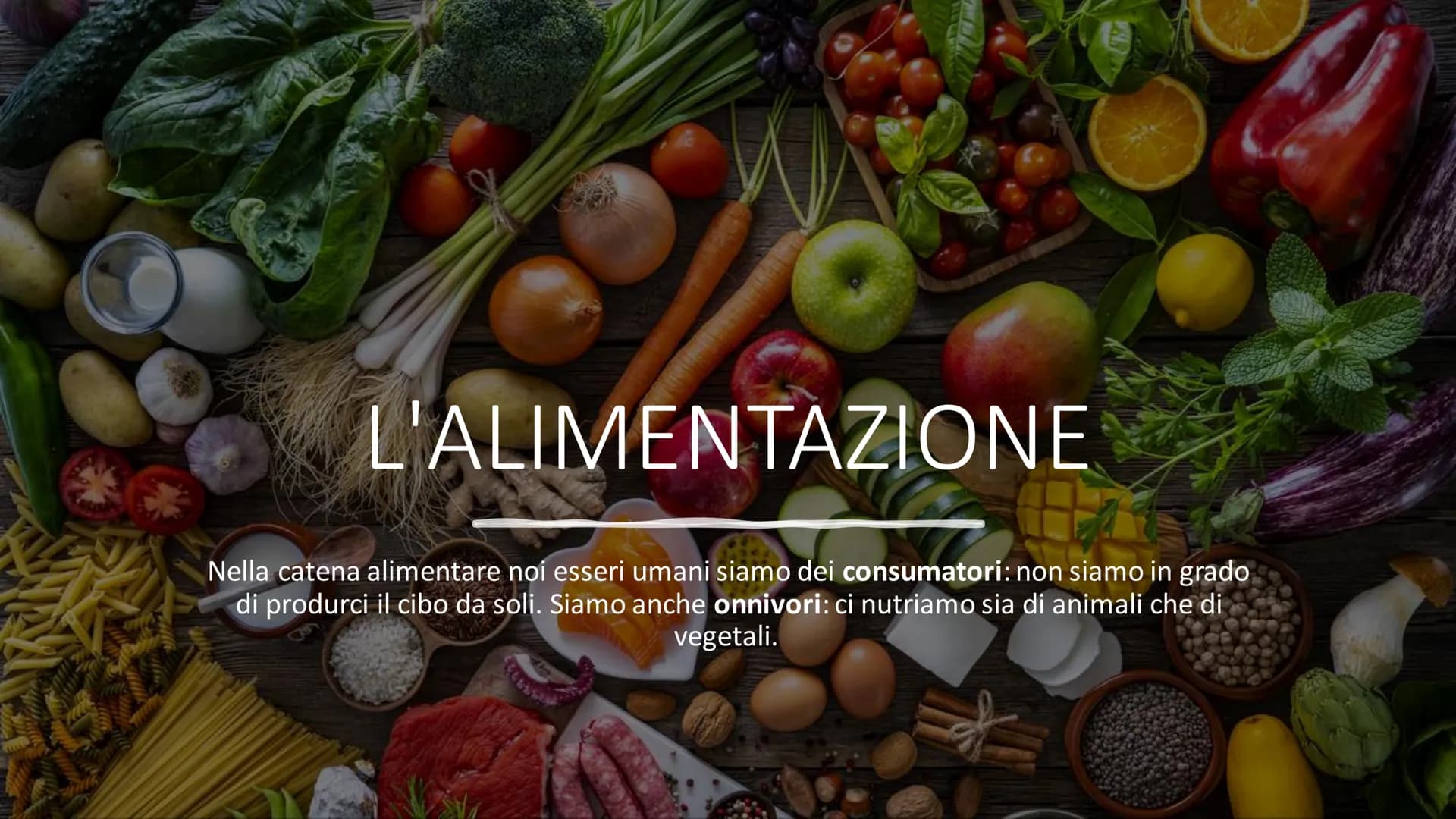 # L'ALIMENTAZIONE

Nella catena alimentare noi esseri umani siamo dei consumatori: non siamo in grado
di produrci il cibo da soli. Siamo anc
