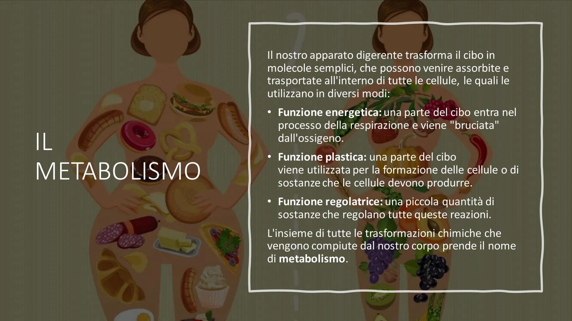 # L'ALIMENTAZIONE

Nella catena alimentare noi esseri umani siamo dei consumatori: non siamo in grado
di produrci il cibo da soli. Siamo anc