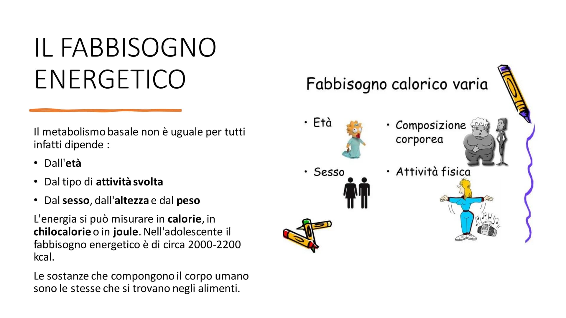 # L'ALIMENTAZIONE

Nella catena alimentare noi esseri umani siamo dei consumatori: non siamo in grado
di produrci il cibo da soli. Siamo anc