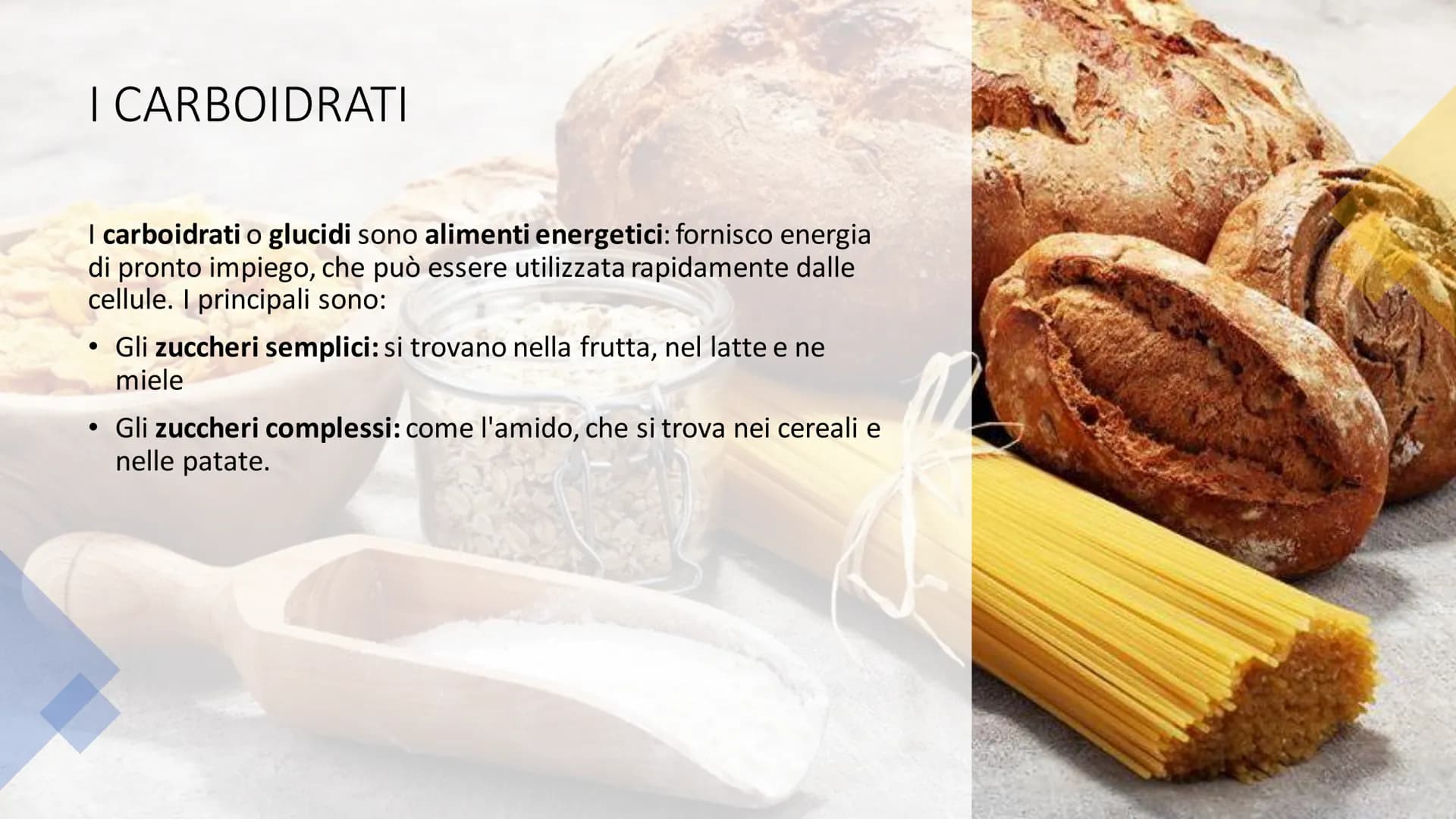 # L'ALIMENTAZIONE

Nella catena alimentare noi esseri umani siamo dei consumatori: non siamo in grado
di produrci il cibo da soli. Siamo anc