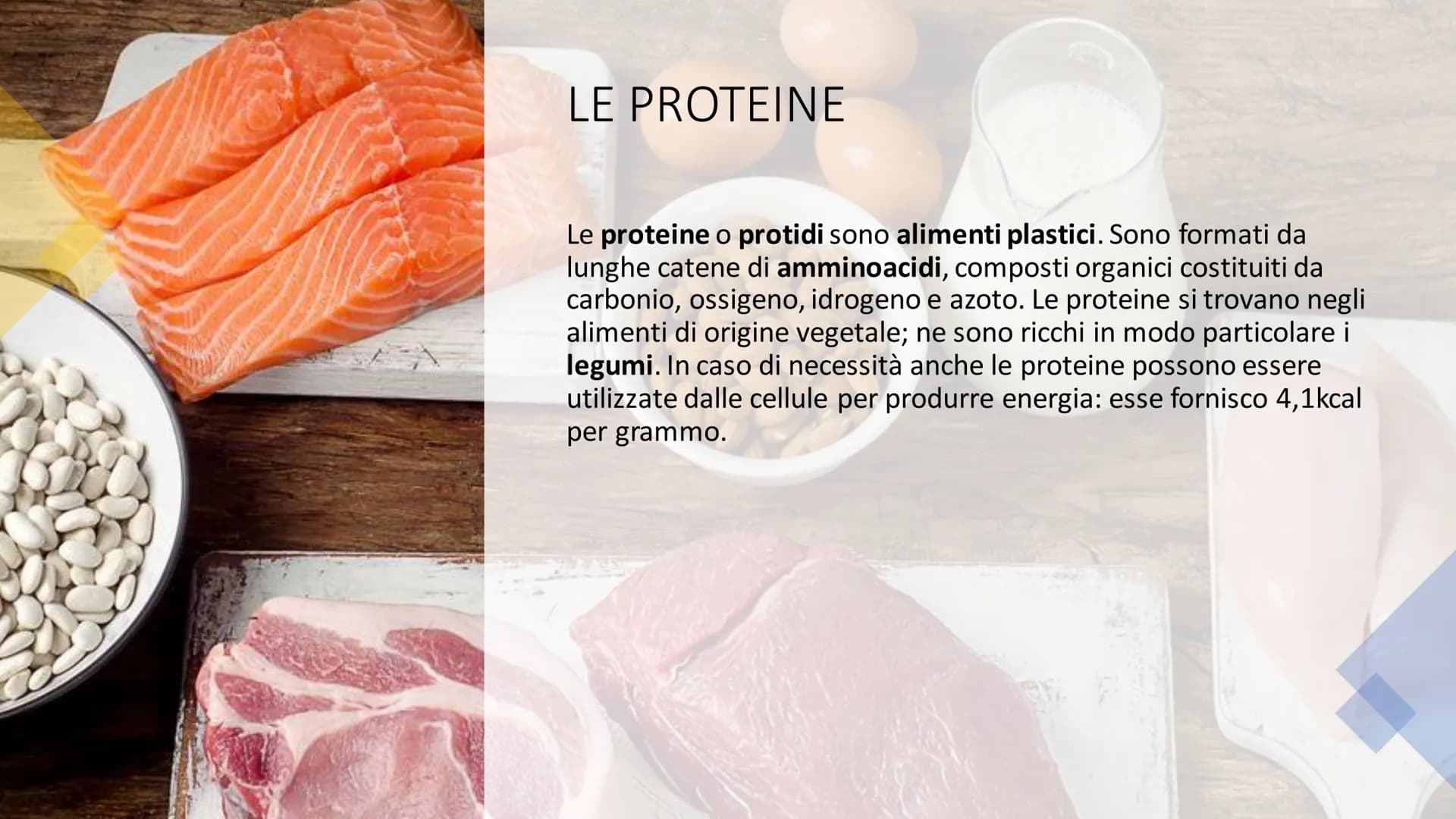 # L'ALIMENTAZIONE

Nella catena alimentare noi esseri umani siamo dei consumatori: non siamo in grado
di produrci il cibo da soli. Siamo anc