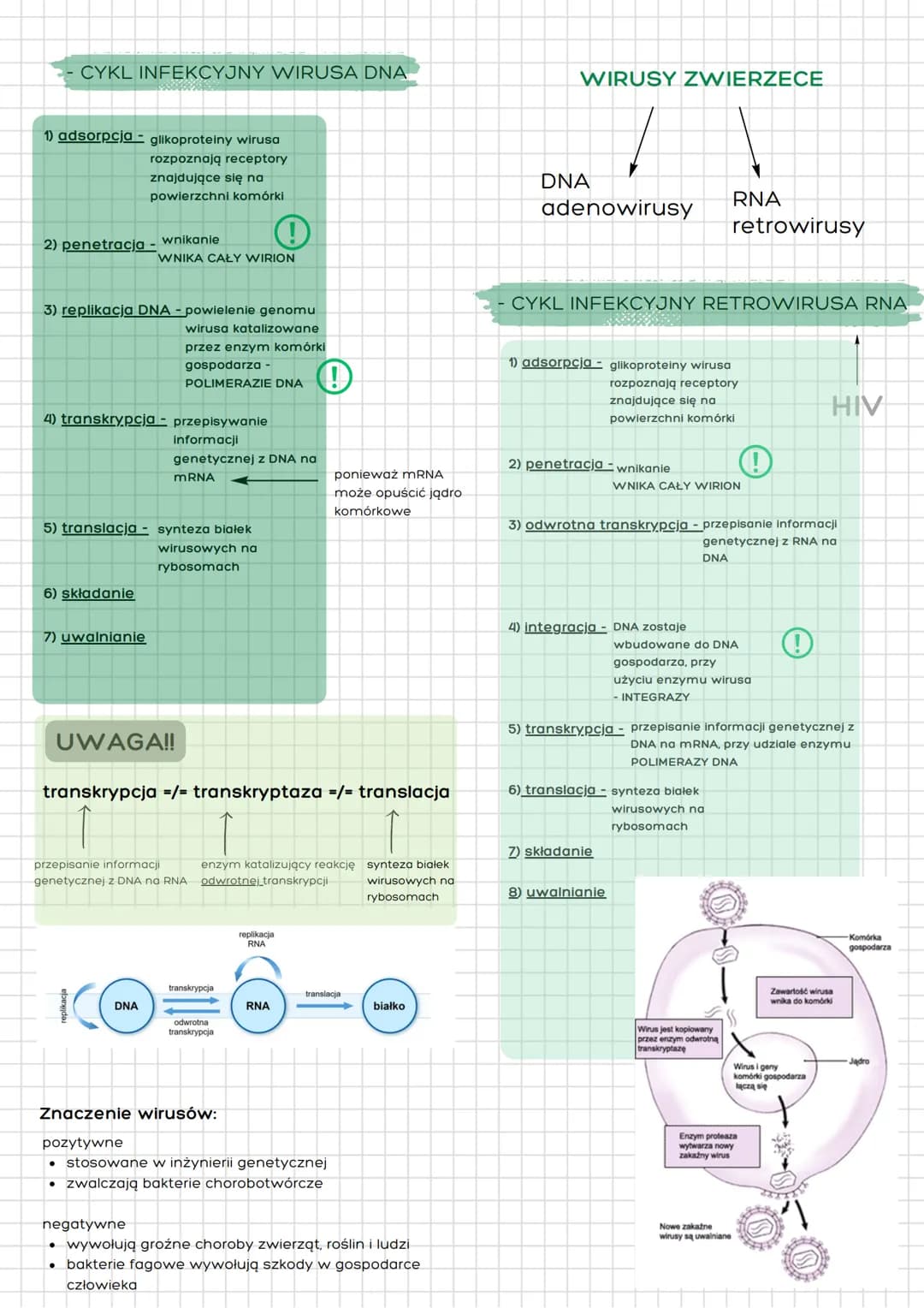 # BEZKOMÓRKOWE
# CZYNNIKI ZAKAŹNE
BIOLOGIA ROZSZERZENIE

wirusy

cechy wirusów:

jako materii nieożywionej
*   namnażają się
wykorzystując
k