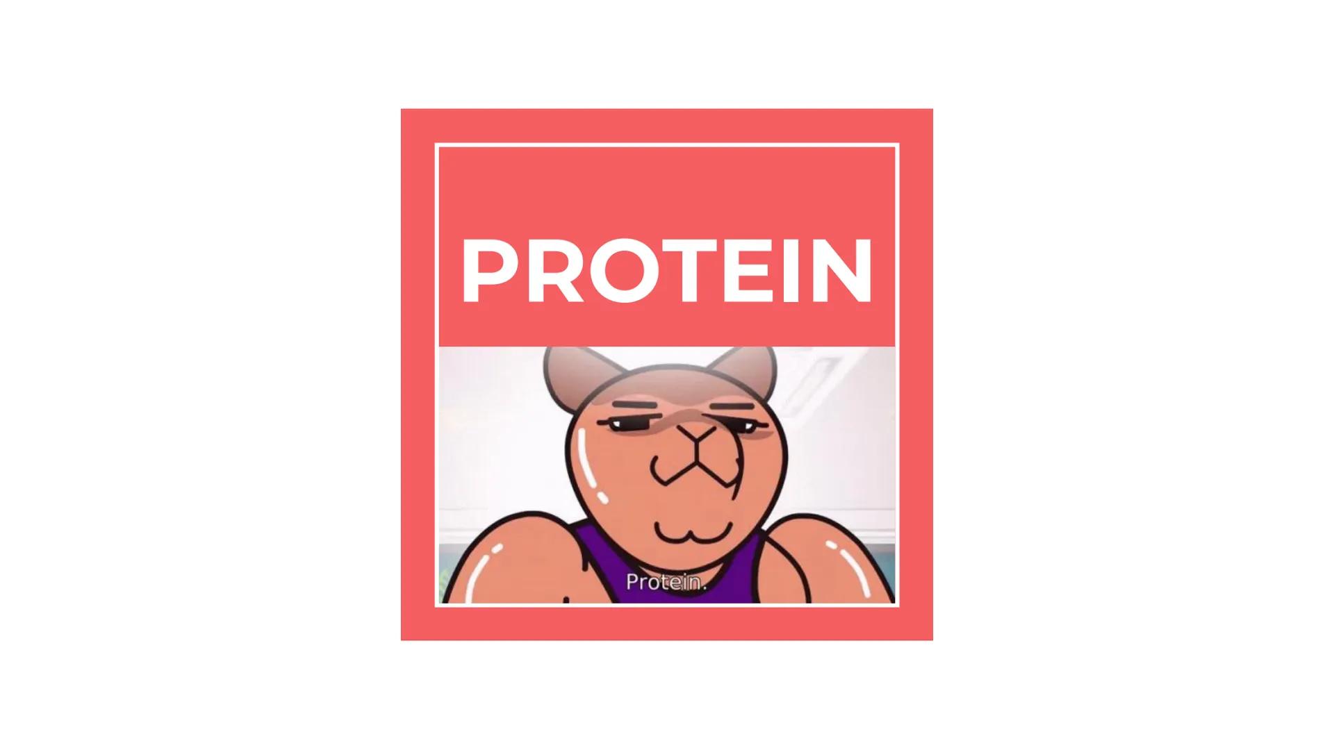 # PROTEIN

Protein. PROTEIN # PROTEINS

- It is a large biomolecule, it is made of one or more
long chains of amino acid residues.
- There a