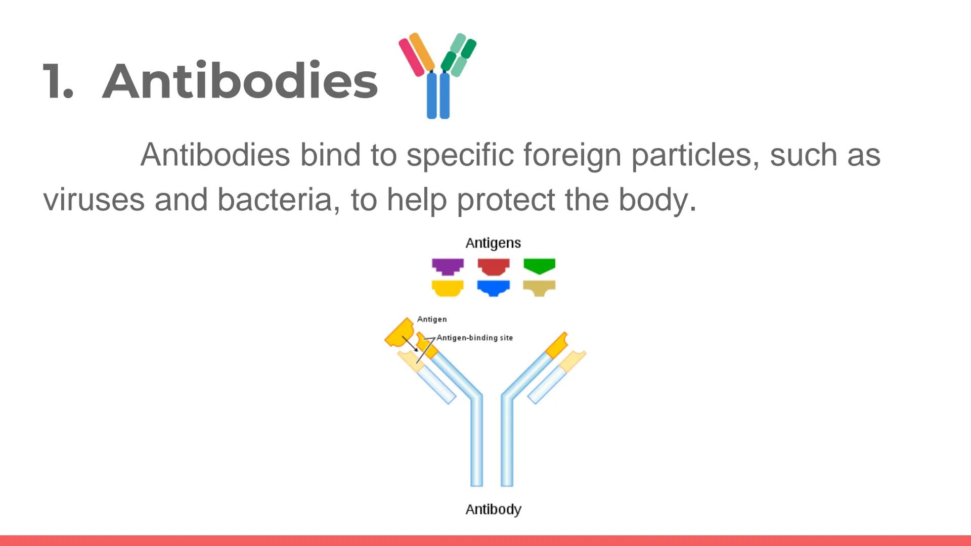 # PROTEIN

Protein. PROTEIN # PROTEINS

- It is a large biomolecule, it is made of one or more
long chains of amino acid residues.
- There a