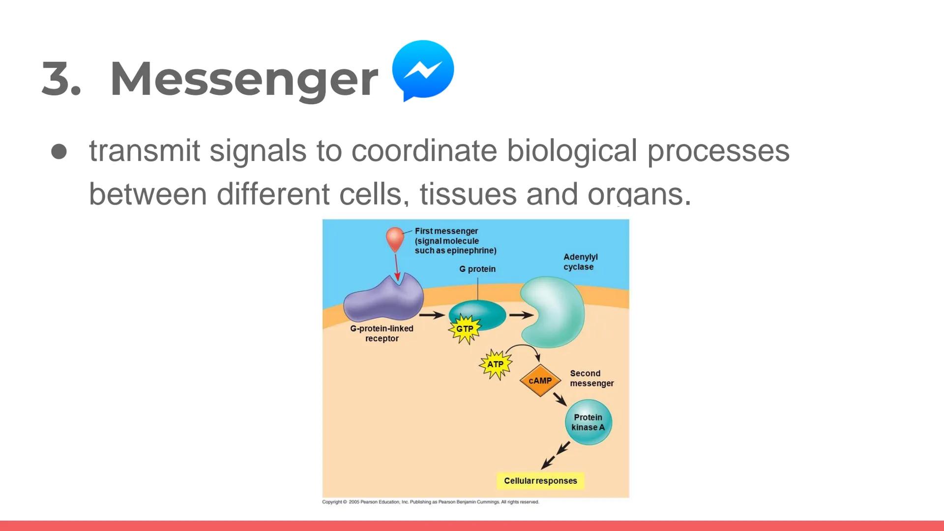 # PROTEIN

Protein. PROTEIN # PROTEINS

- It is a large biomolecule, it is made of one or more
long chains of amino acid residues.
- There a