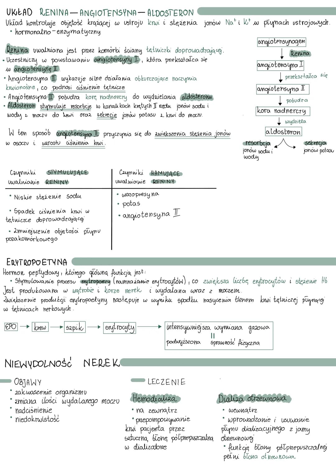 # UKŁAD WYDALNICZY

BUDOWA

NERKI

BUDOWA

* nefrony

tkanka śródmiąższowa

tkanka łączna luźna

lewa nerka jest
wyżej niż prawa

• naczynia