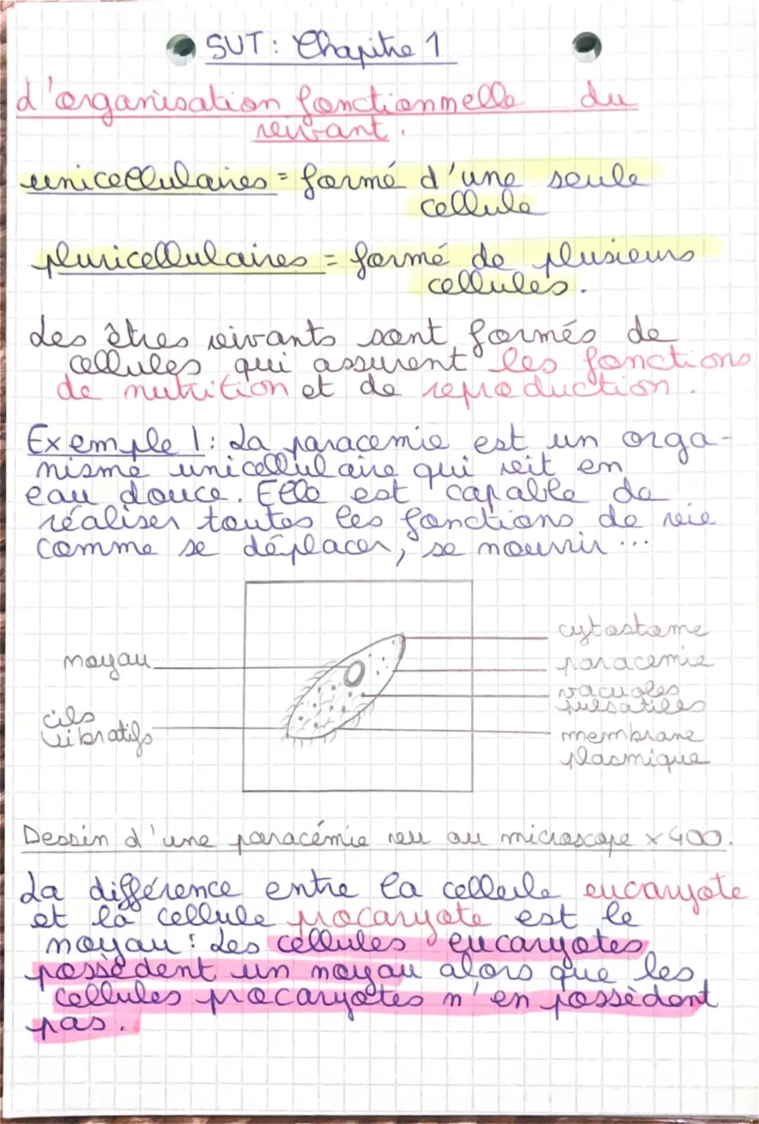 SUT: Chapitre 1

d'organisation fonctionnelle du
reivant.

unicelulaines = formé d'une seule
Cellule

pluricellulaires = formé de plusieurs
