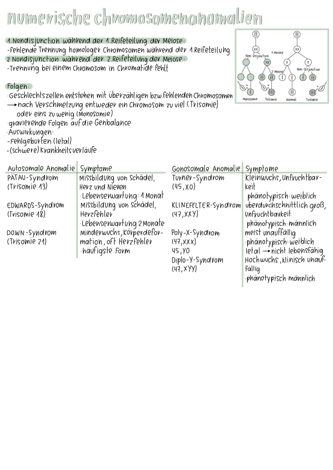 meiose

오

8

Interphase I Prophase I

Metaphase I

Anaphase I

Interphase I Prophase I Metaphase I

Anaphase I

4 haploide Spermien

Propha