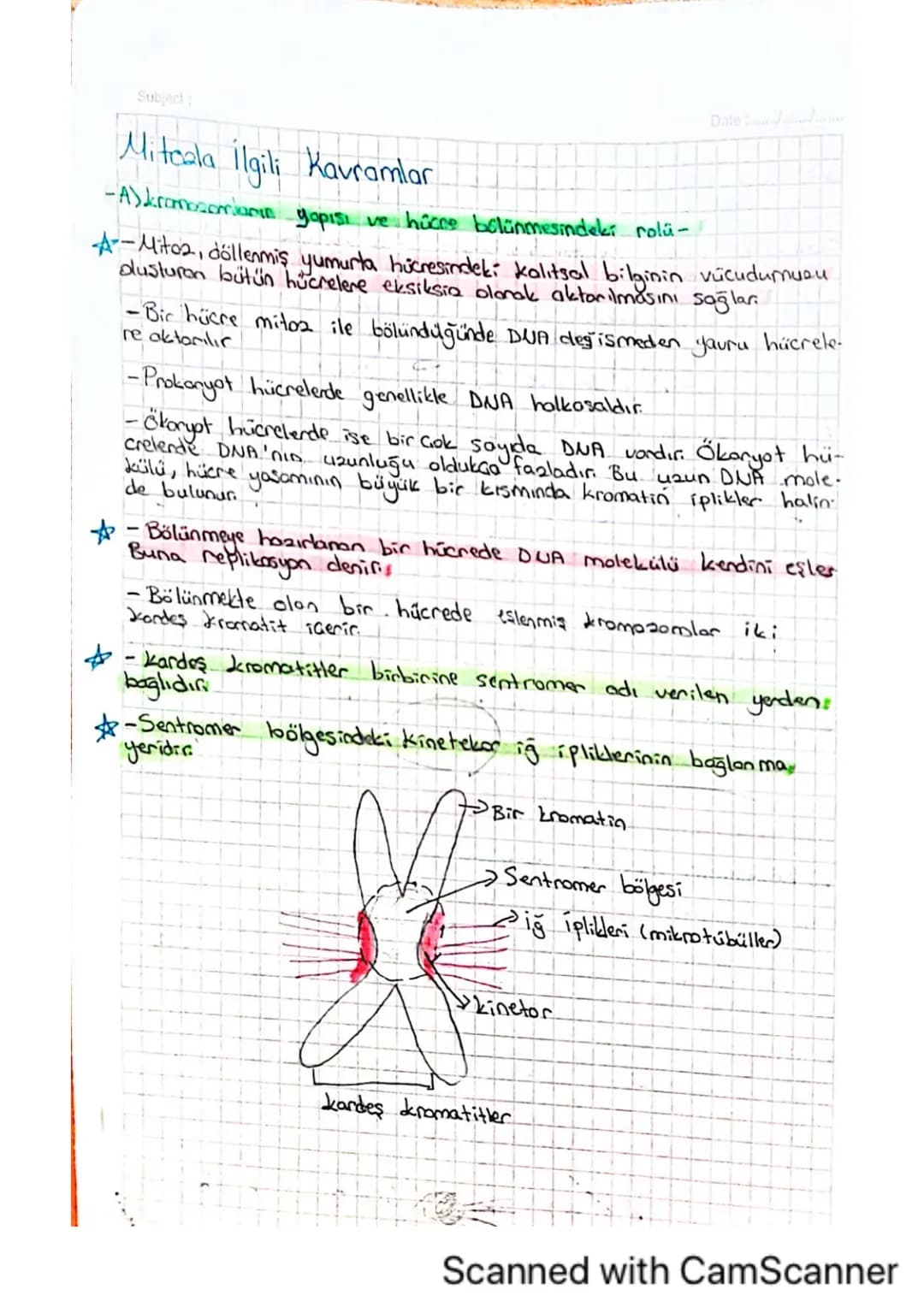Subject:

Mitaala İlgili Kavramlar
Date
-A)kromosomikanın yapısı ve hücre bölünmesindeki rolü-

A-Mitoa, döllenmiş yumurta hücresindeki kali