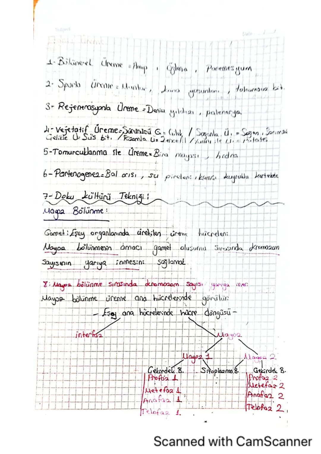 Subject:

Mitaala İlgili Kavramlar
Date
-A)kromosomikanın yapısı ve hücre bölünmesindeki rolü-

A-Mitoa, döllenmiş yumurta hücresindeki kali