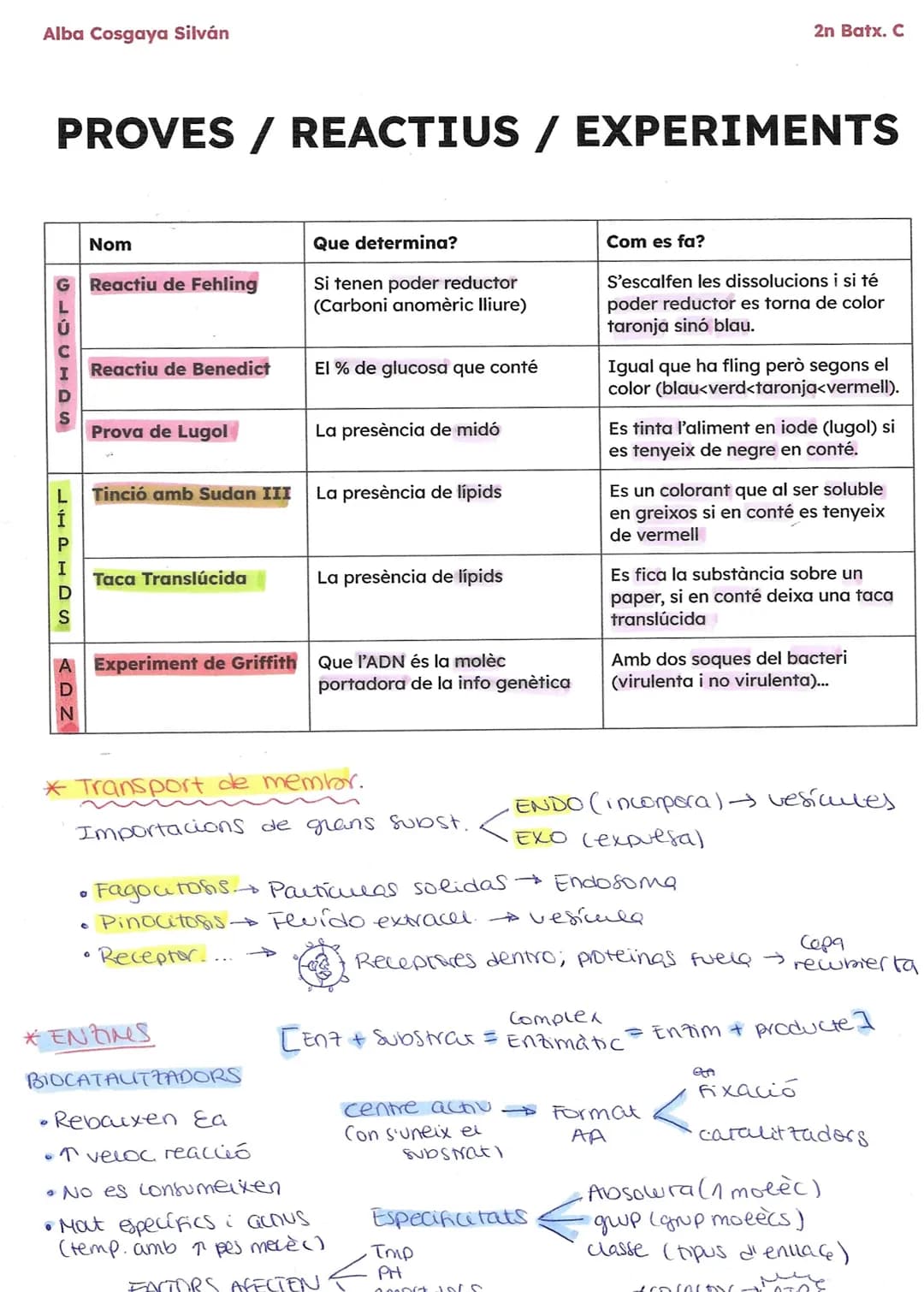 Alba Cosgaya Silván
2n Batx C.

BIOMOLÉCULAS COMPOSICIÓN

Glúcidos
(carbohidratos)

CHyO

Lípidos
(grasas)

Proteínas

Ácidos
nucléicos

CLA