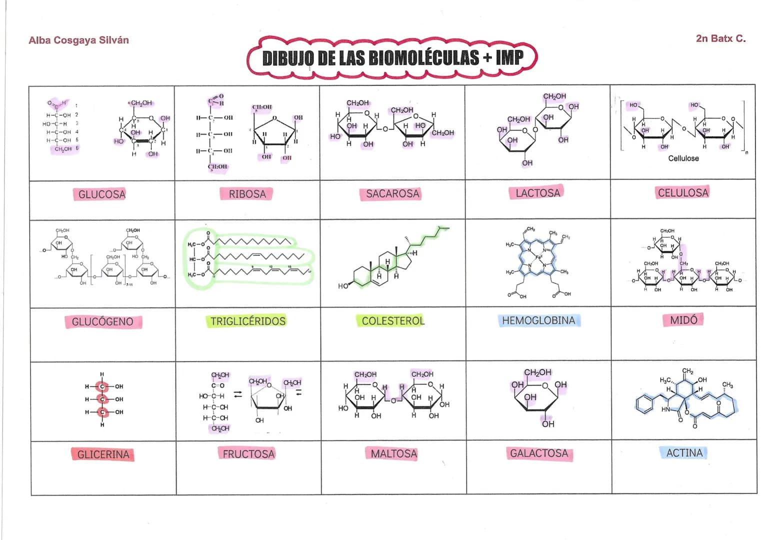 Alba Cosgaya Silván
2n Batx C.

BIOMOLÉCULAS COMPOSICIÓN

Glúcidos
(carbohidratos)

CHyO

Lípidos
(grasas)

Proteínas

Ácidos
nucléicos

CLA