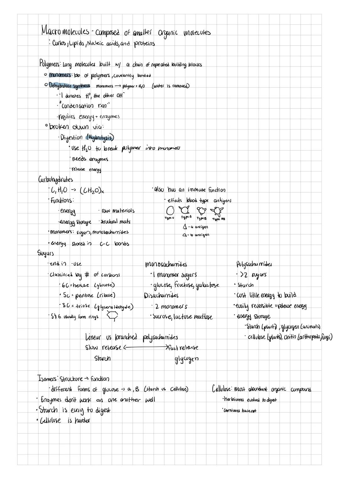 Biochem

*matter made of atoms

*Protons, neutrons, and electrons

*life is mostly made up of Curbon, Onygen, Hydroges, and Nitroges

*Secon