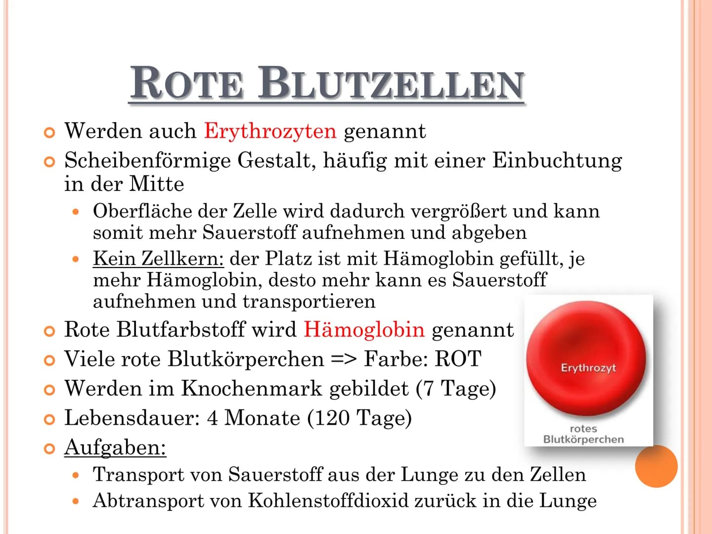 # DAS BLUT # GLIEDERUNG

*   Allgemeines über Blut
*   Bestandteile des Blutes
*   Funktionen des Blutes
*   Rote Blutzellen
*   Weiße Blutz