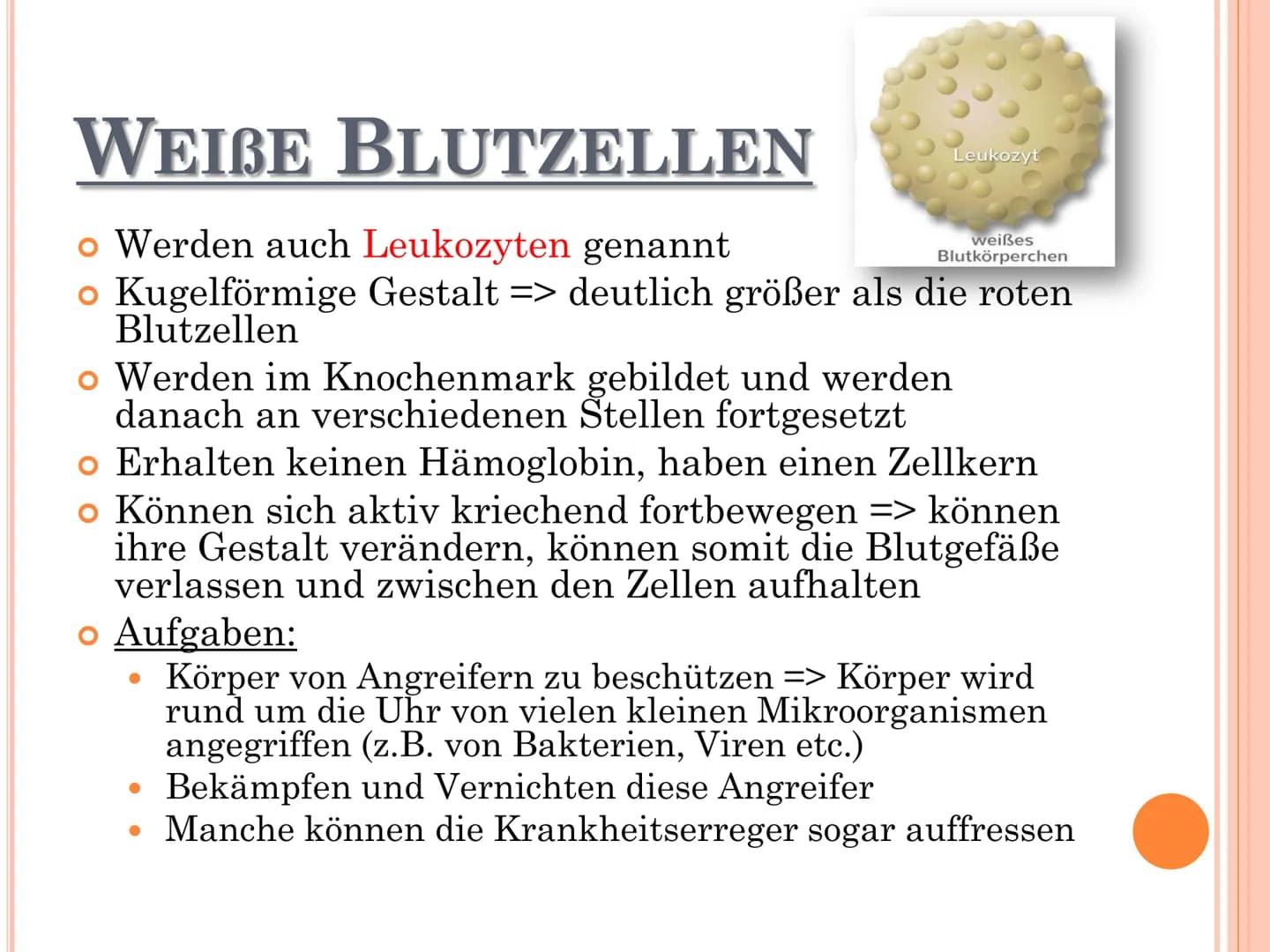 # DAS BLUT # GLIEDERUNG

*   Allgemeines über Blut
*   Bestandteile des Blutes
*   Funktionen des Blutes
*   Rote Blutzellen
*   Weiße Blutz