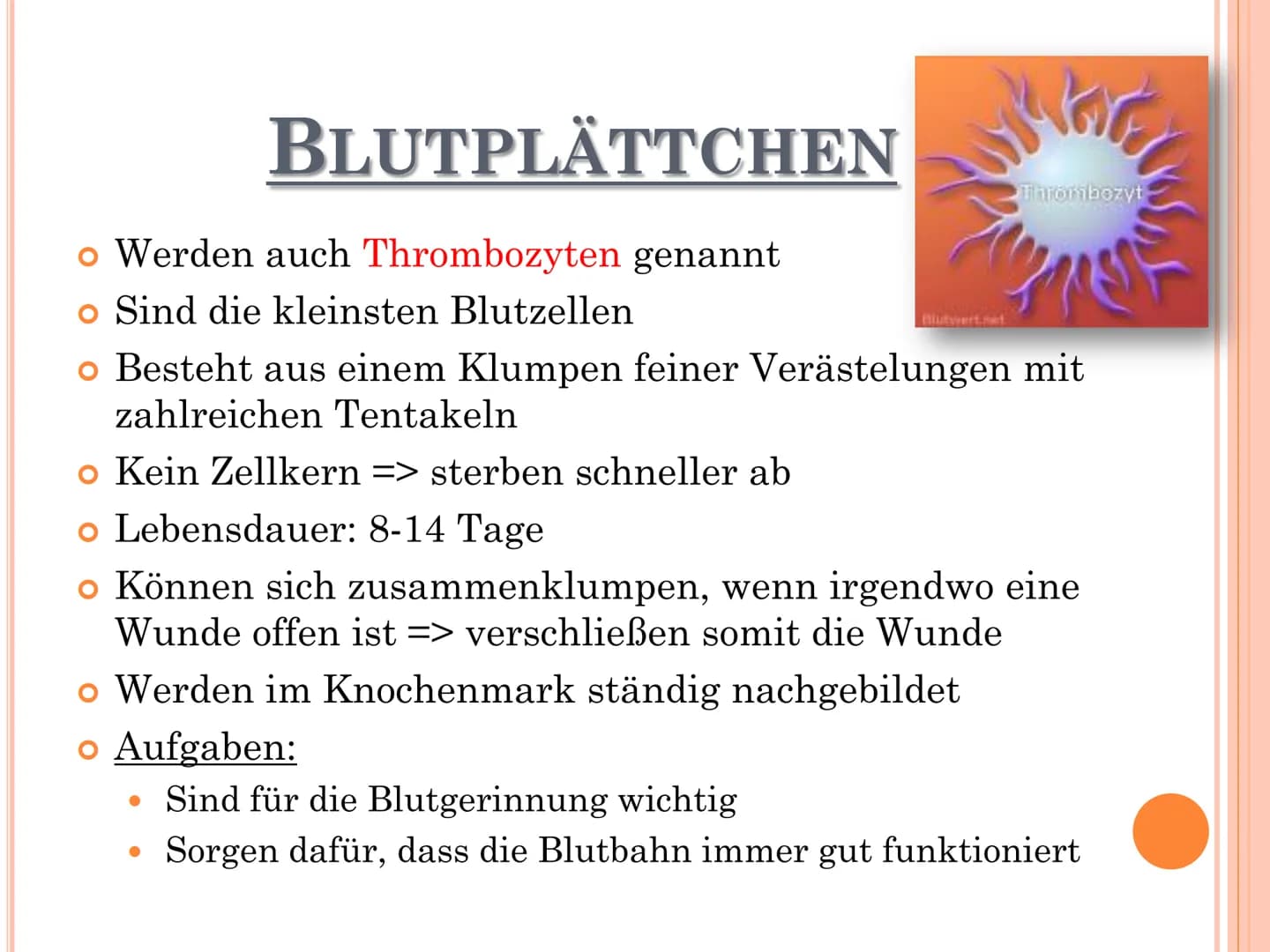 # DAS BLUT # GLIEDERUNG

*   Allgemeines über Blut
*   Bestandteile des Blutes
*   Funktionen des Blutes
*   Rote Blutzellen
*   Weiße Blutz