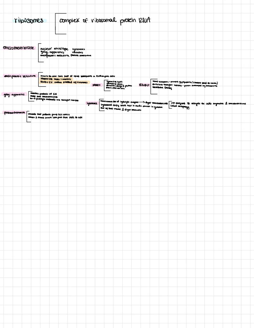# Chapter 3 Carbon & molecular diversity of life

Proteins include a diversity of structures, resulting in a wide range of functions:

- Pro