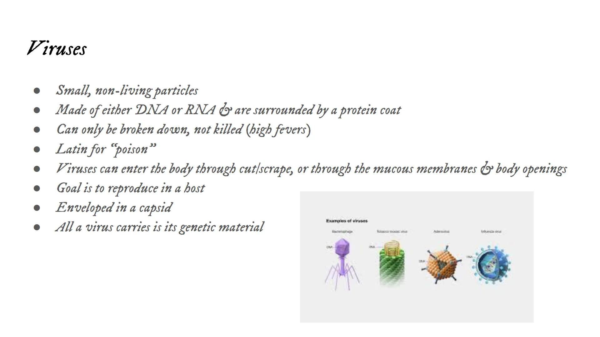 # Intro to Viruses Viruses

• Small, non-living particles
• Made of either DNA or RNA & are surrounded by a protein coat
• Can only be broke
