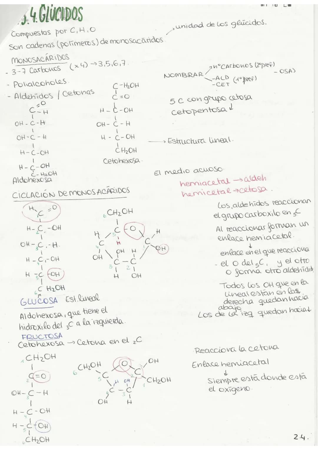 //
T2 Birguíshica
3-10-22.
29.९.९
BICELEMENTOS: aquellos elementos de la tabla periódica que forman parte de
la materia viva.
Primarios (98%