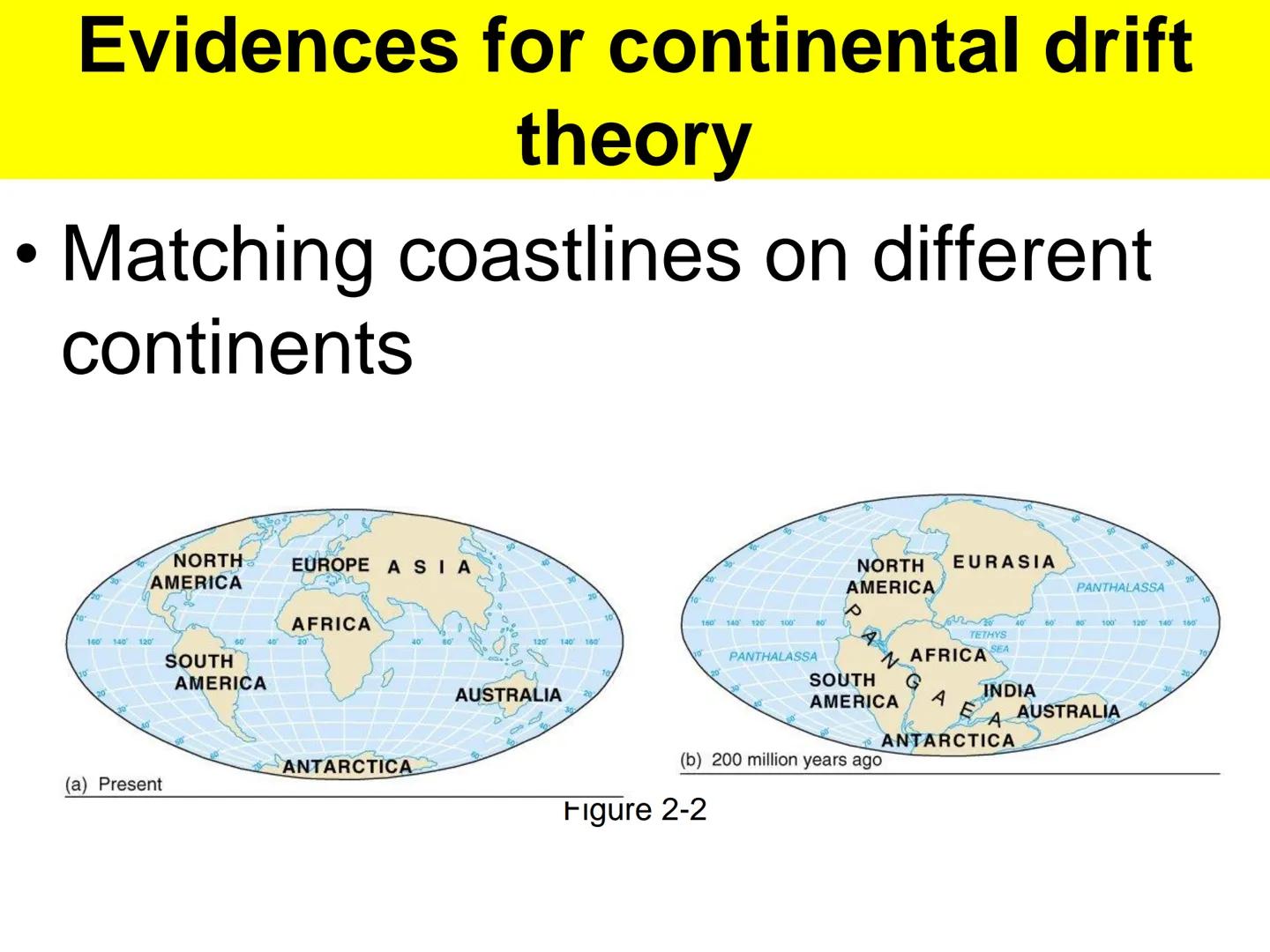 - a German
meteorologist and
geophysicist
-
first to advance the
idea of mobile
continents in 1912
-
identified several
lines of evidence to