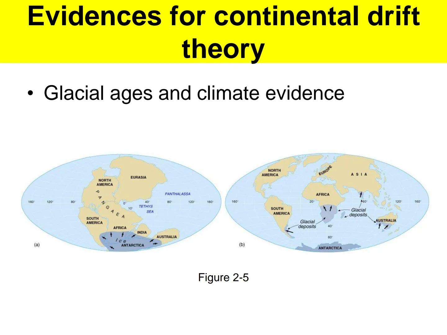 - a German
meteorologist and
geophysicist
-
first to advance the
idea of mobile
continents in 1912
-
identified several
lines of evidence to