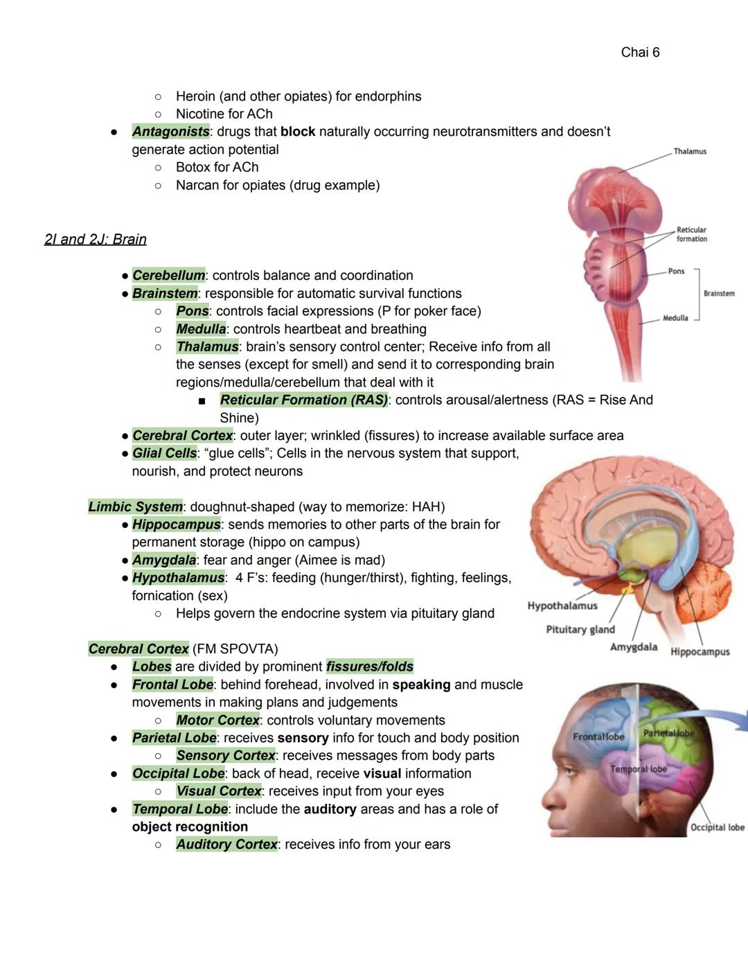 Chai 1

Unit 2: Biological Bases of Behavior (8-10%)

2A-C: Heredity, Environment, Evolution

*   **Heredity**: genetically transmitted or t