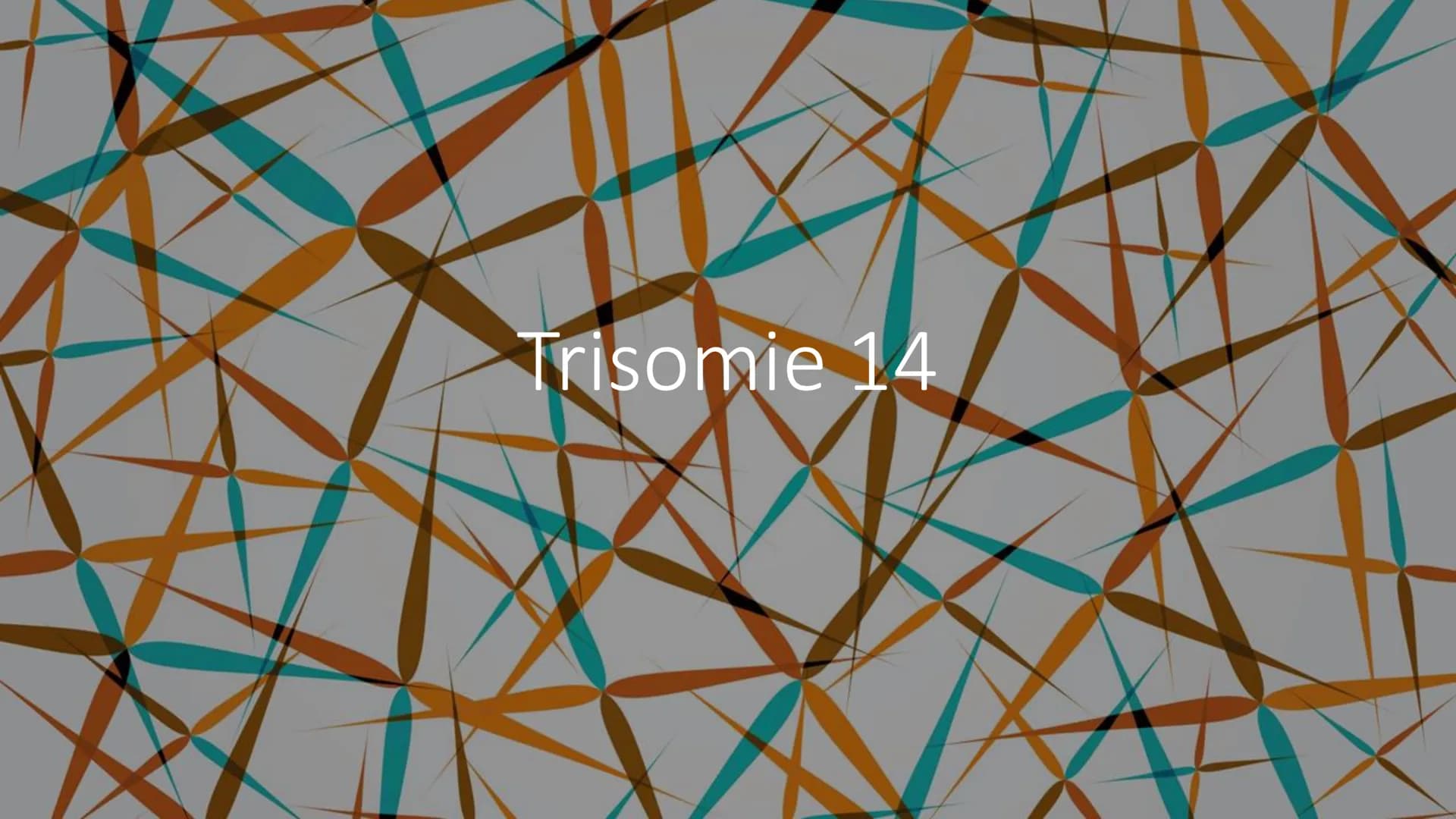 Trisomie 14 # Struktur

- Was ist Trisomie 14?
- Häufigkeit
- Formen
- Symptome
- Diagnose
- Therapie 14

Was ist Trisomie 14?

$
\longright
