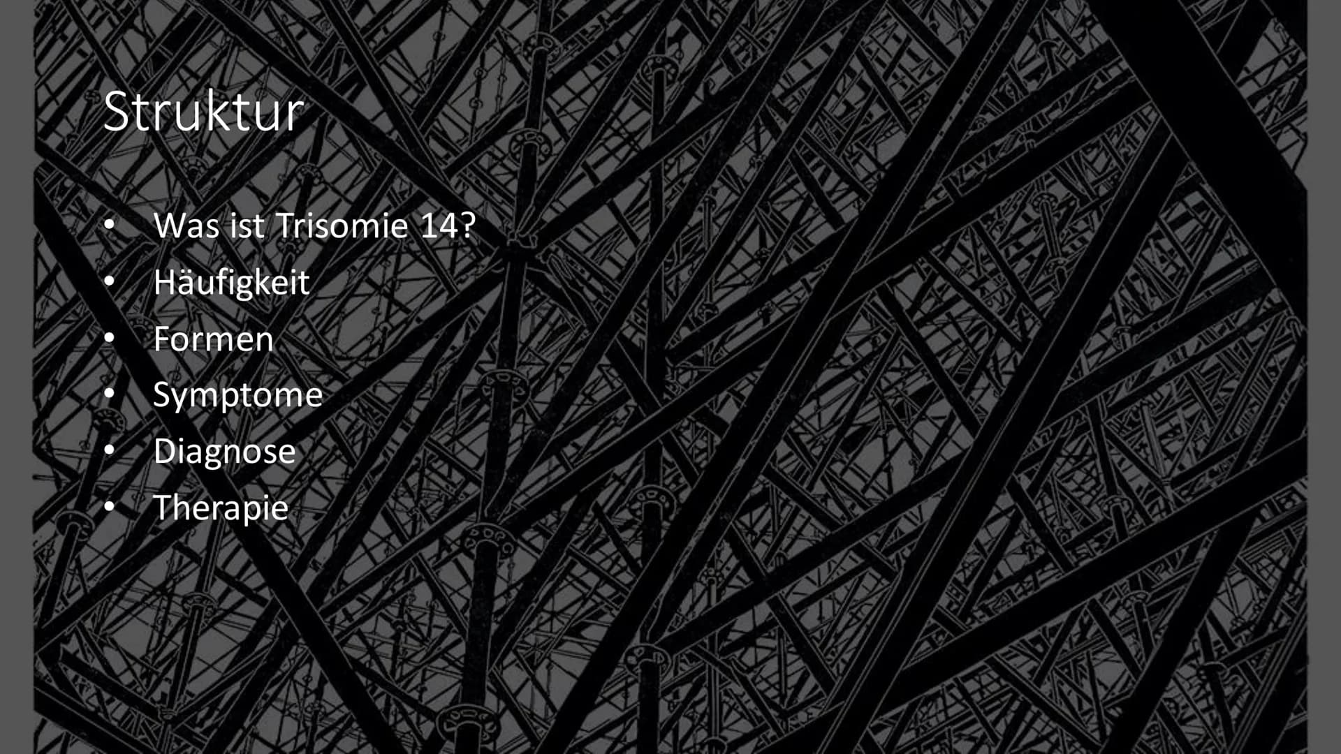 Trisomie 14 # Struktur

- Was ist Trisomie 14?
- Häufigkeit
- Formen
- Symptome
- Diagnose
- Therapie 14

Was ist Trisomie 14?

$
\longright