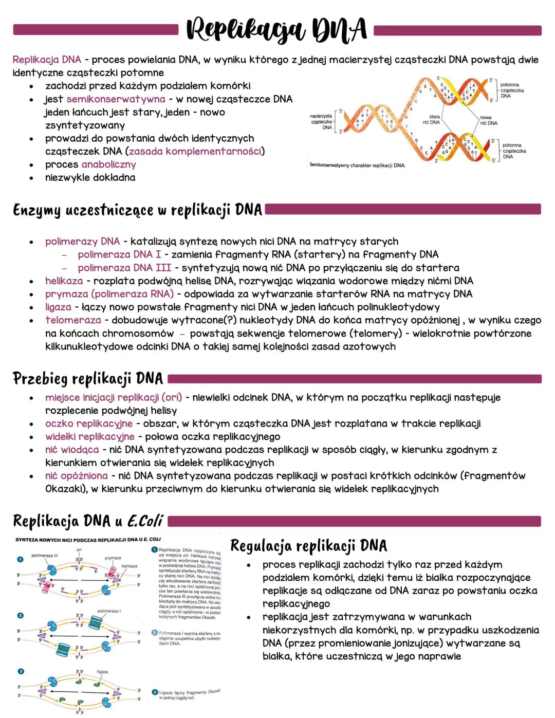 # Replikacja DNA

Replikacja DNA - proces powielania DNA, w wyniku którego z jednej macierzystej cząsteczki DNA powstają dwie
identyczne czą