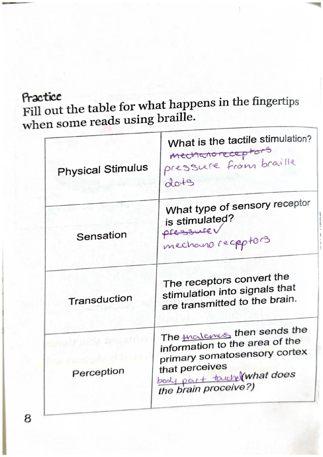 Sensory Receptors
What is a sensory receptor?
a newon designed

Sensory receptors can be classified into six different
types.

| Type of Rec