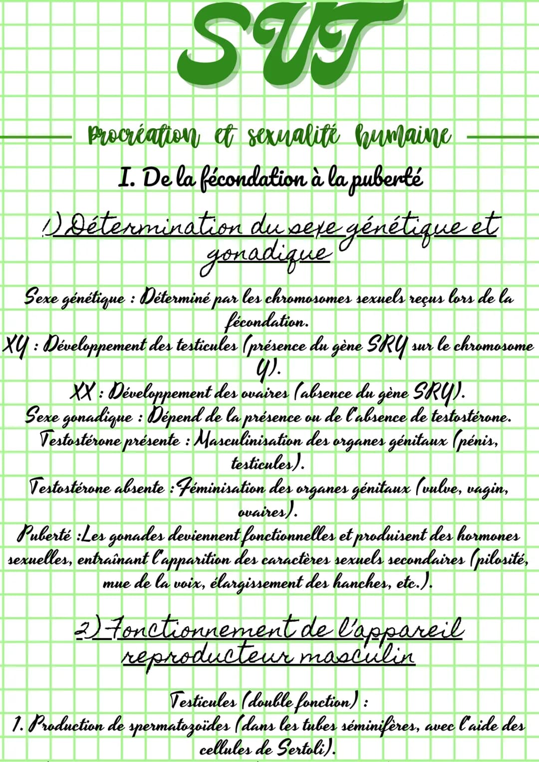 SUT

Procréation et sexualité humaine
I. De la fécondation à la puberté
1) Détermination du sexe génétique et
gonadique

Sexe génétique : Dé