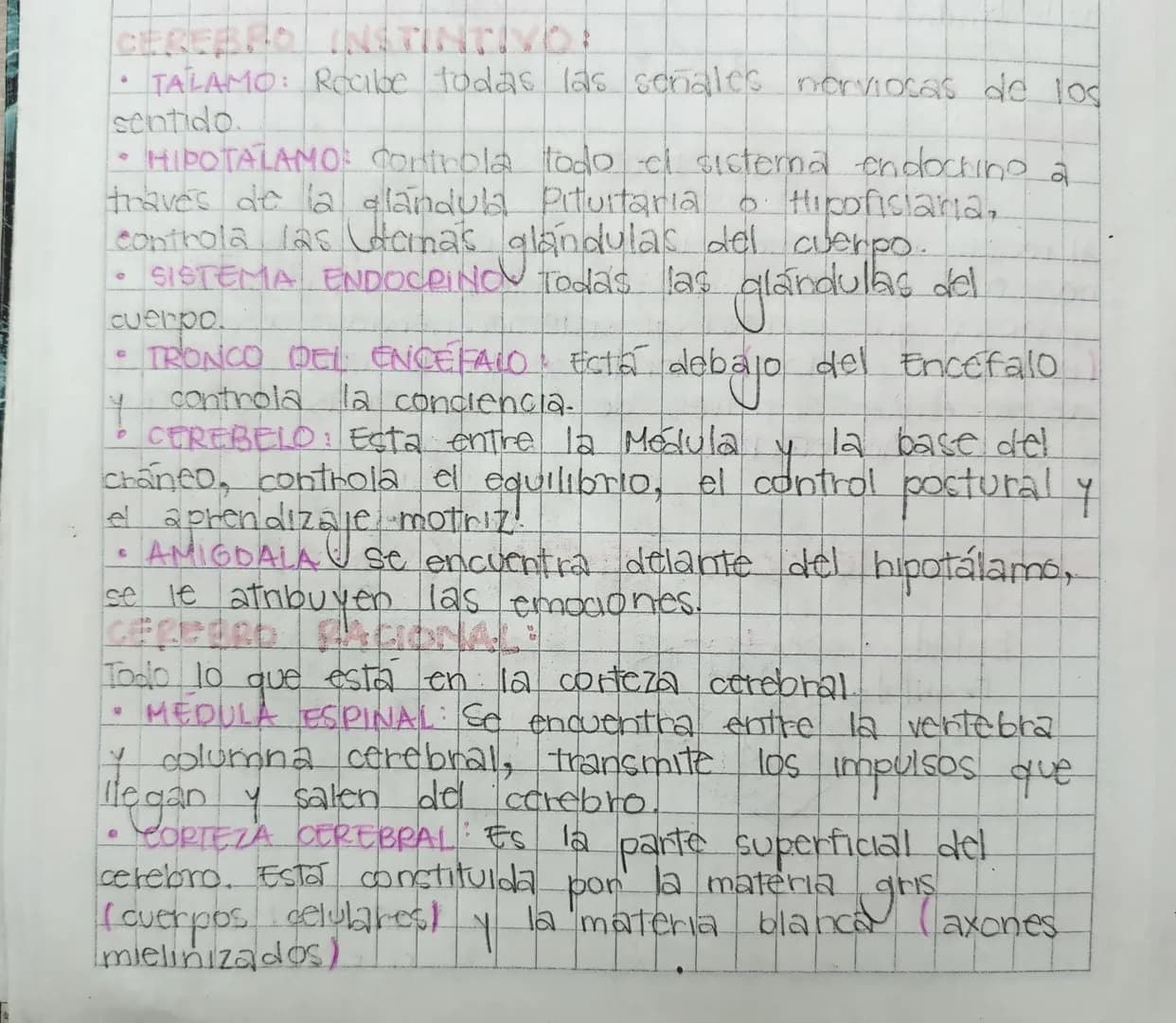 CEREBRO INSTINTIVO:
*   TALAMO: Recibe todas las señales norviocas de los
sentido.
*   HIPOTALAMO: controla todo el sistema endocrino a
trav