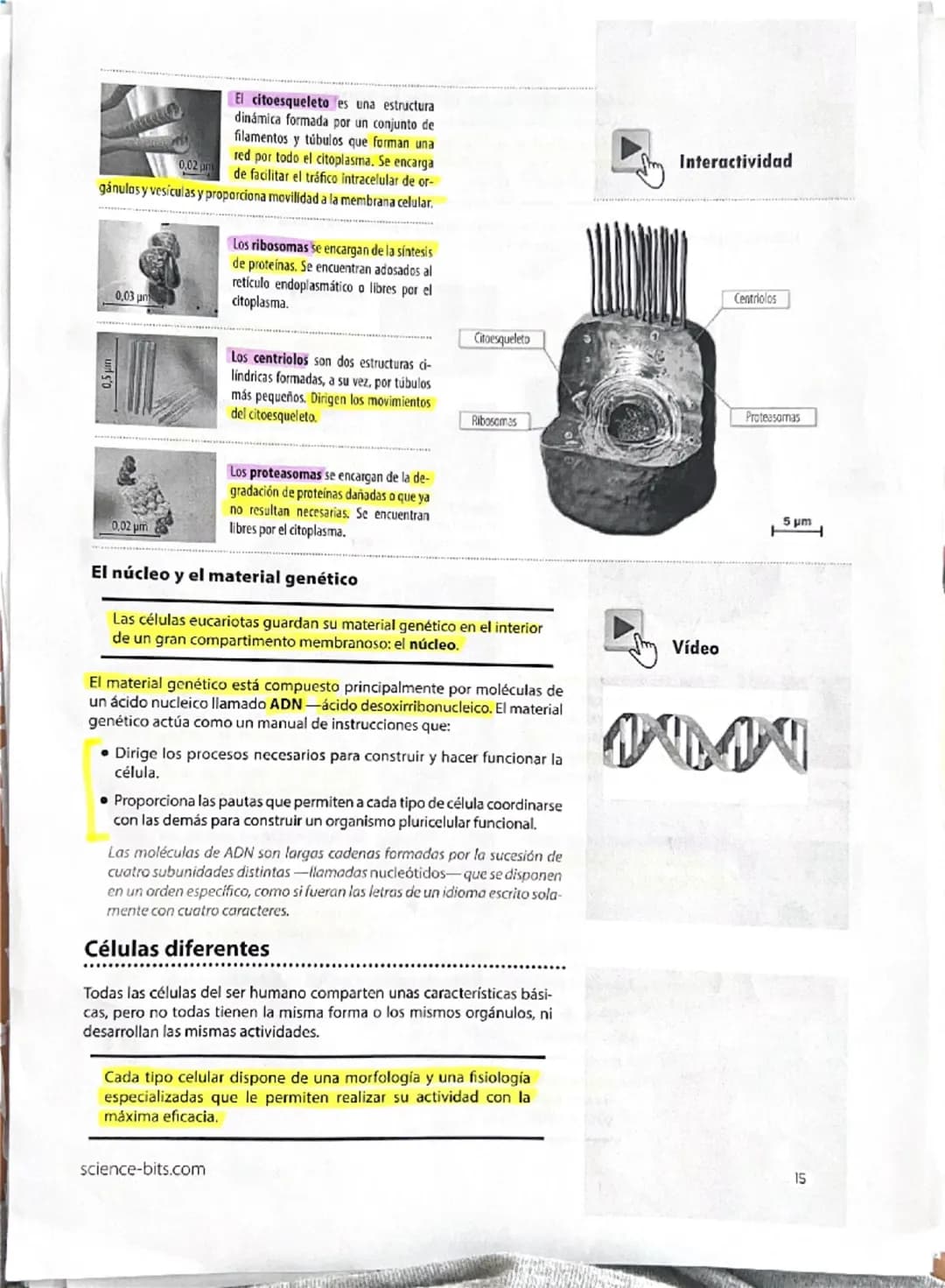 12
Explicamos
Galería
La química de la vida
Todos los seres vivos están constituidos por células, y estas, a su
vez, se componen de molécula