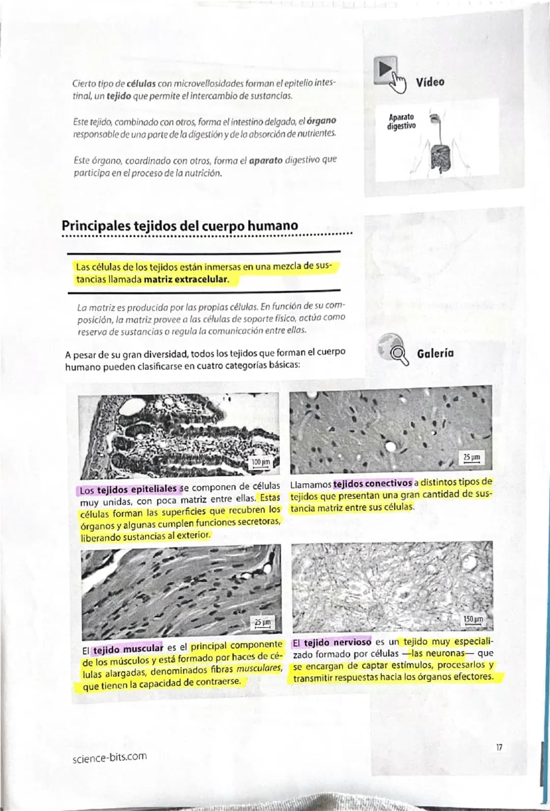 12
Explicamos
Galería
La química de la vida
Todos los seres vivos están constituidos por células, y estas, a su
vez, se componen de molécula