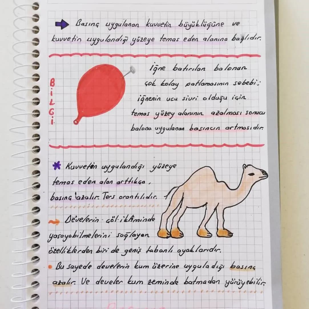 # BASING

KATI BASINCI

*   Tüm cisimler ağırlıklarından dolayı Kamas

    ettikleri yüzeylere bir kuvvet uygular.
*   Karlı, çamurlu veya k