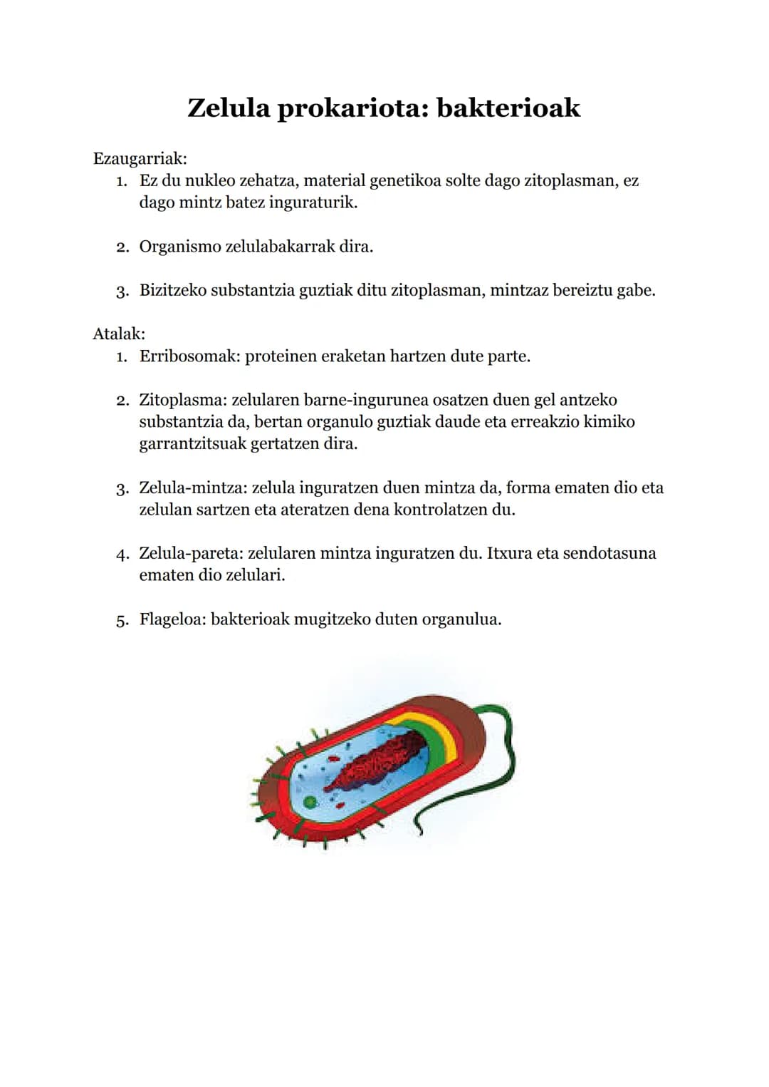 # Teoria Zelularra

Oinarriak:

1.  Izaki bizidun guztiak zelulaz osatuta gaude.

2.  Zelulek 3 bizi funtzioak betetzen dituzte:
    a. Nutr