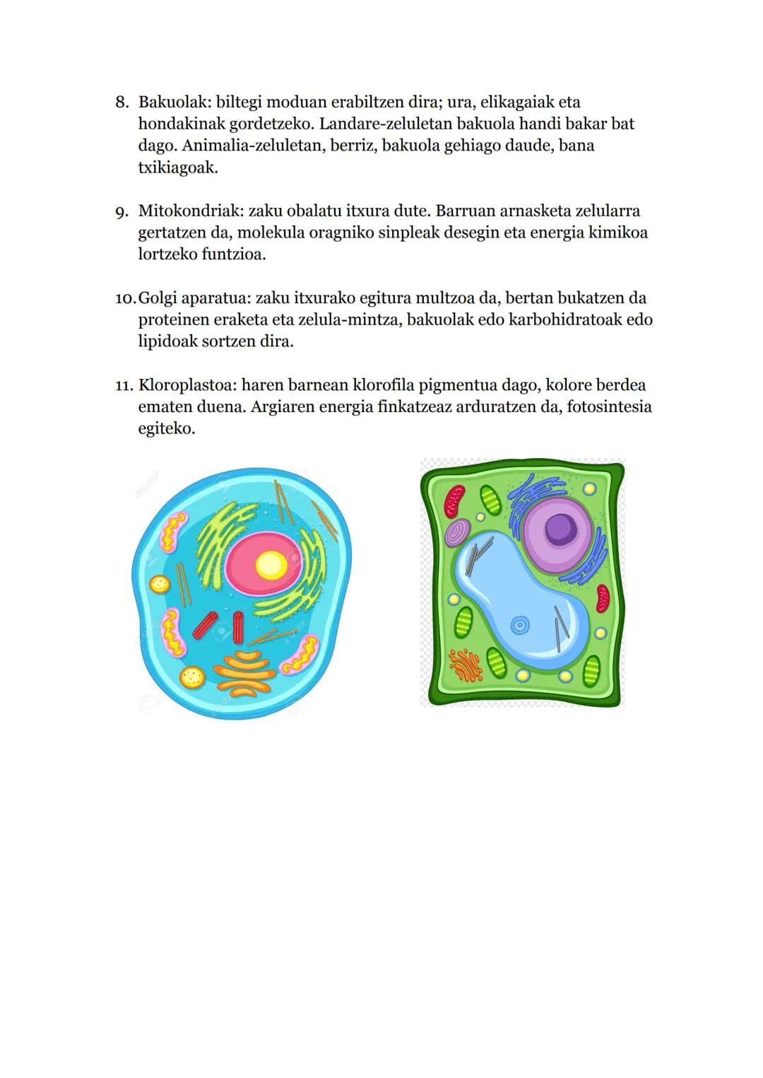 # Teoria Zelularra

Oinarriak:

1.  Izaki bizidun guztiak zelulaz osatuta gaude.

2.  Zelulek 3 bizi funtzioak betetzen dituzte:
    a. Nutr