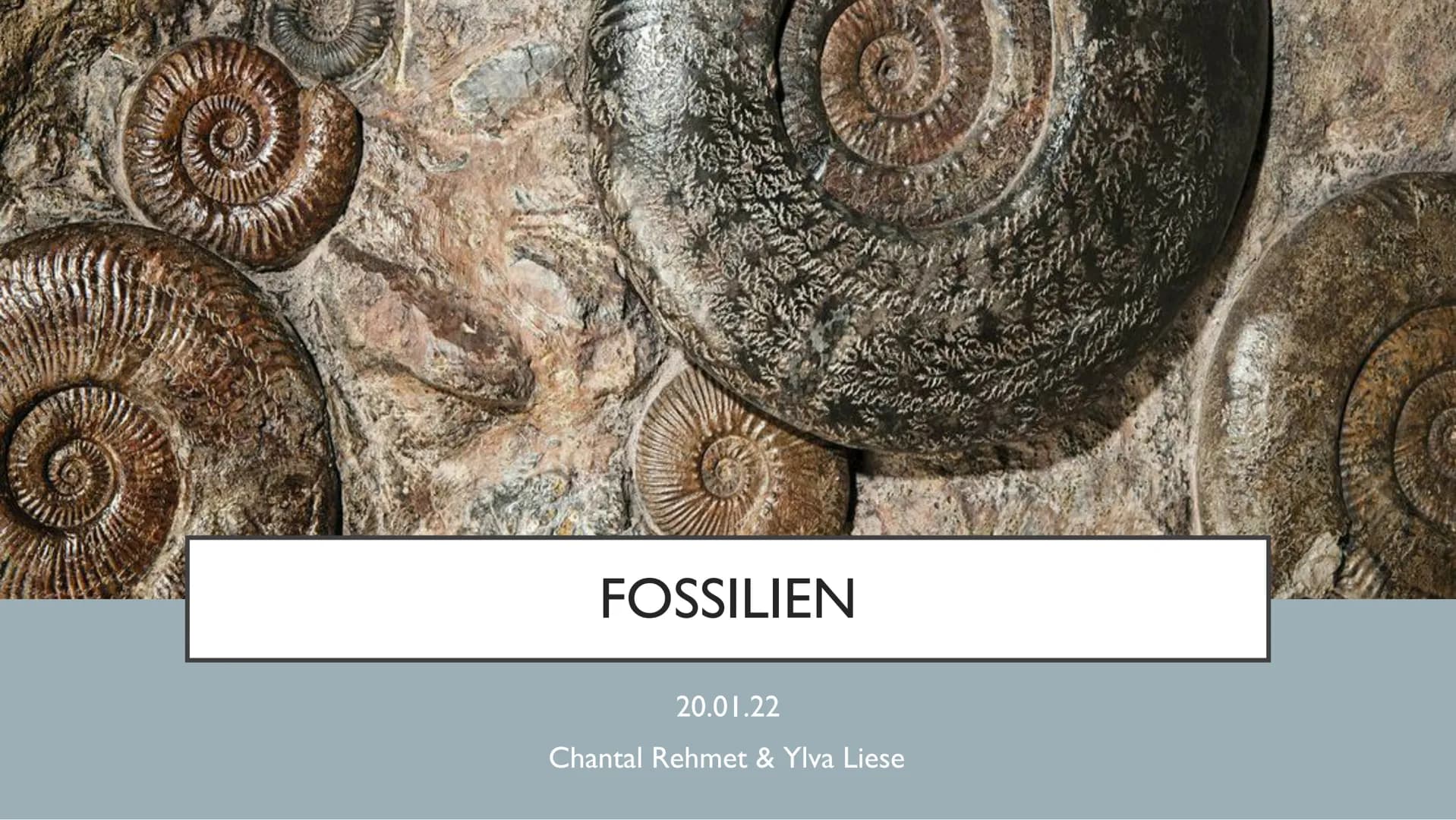 # FOSSILIEN

20.01.22

Chantal Rehmet & Ylva Liese GLIEDERUNG

Was sind
Fossilien?

Charles Darwin

Evolutions-
theorie

Entstehung

Altersb