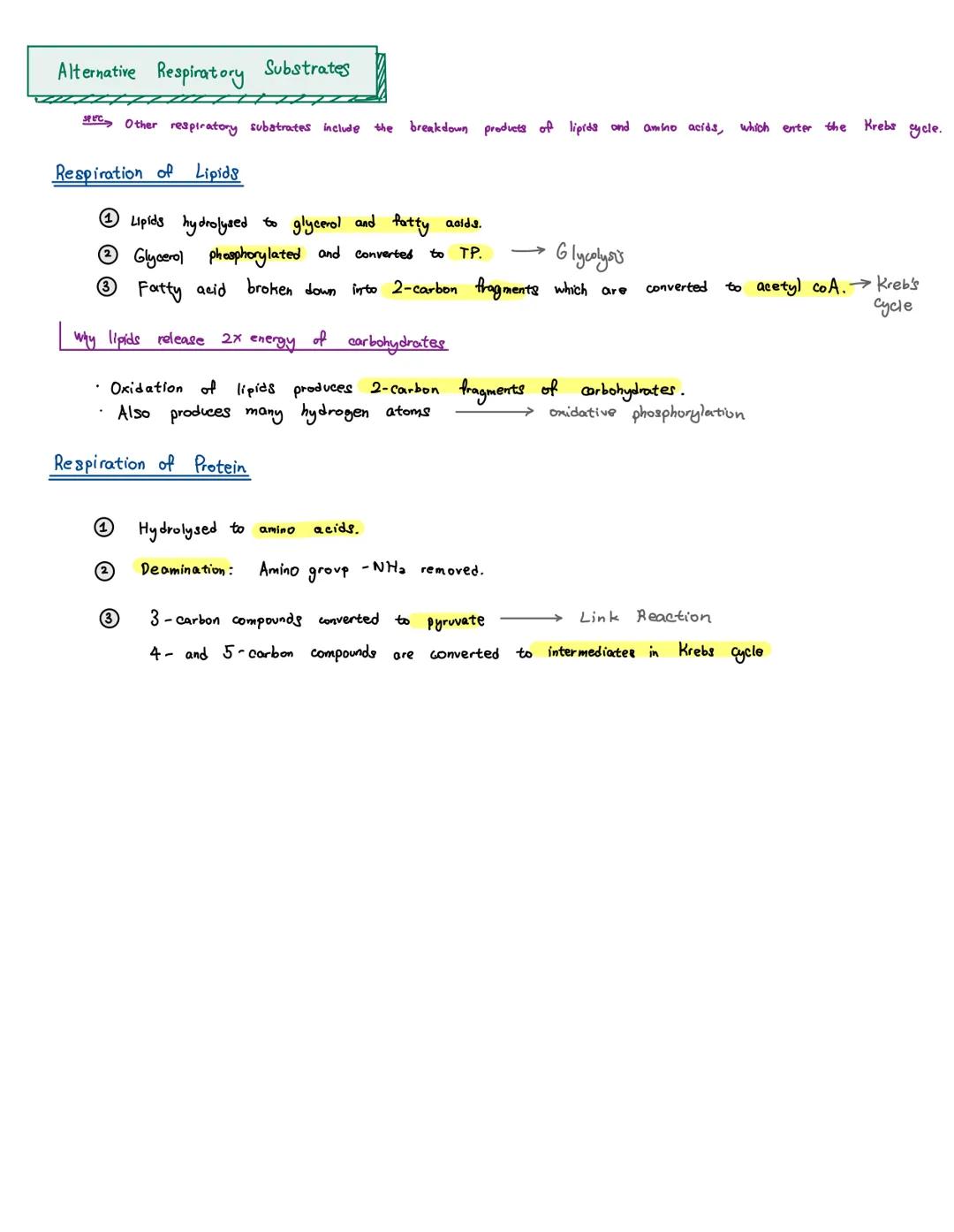 OCCURS IN MITOCHONDIA MATRIX
4) Oxidative Phosphorylation.

The Chemiosmotic Theory of Oxidative Phosphorylation

Inter-membranal
Space
(hig