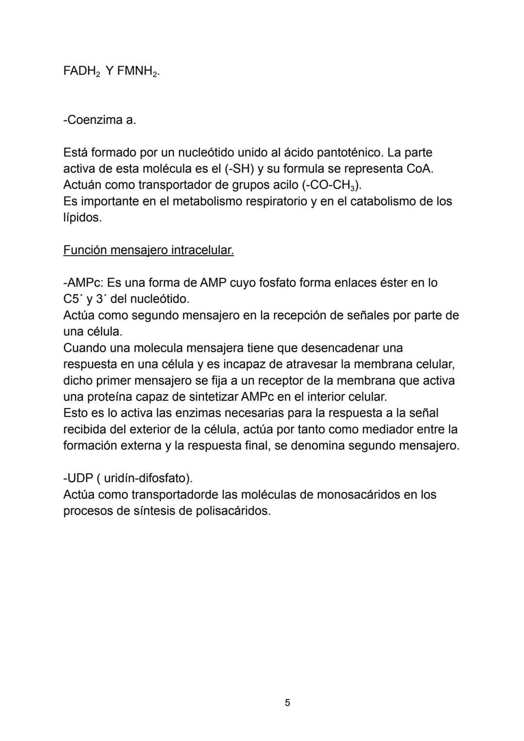 # Ácidos nucleicos.

Indice.

-Ácidos nucleicos.

*   Concepto.

-Nucleótidos.

*   Formación del nucleósido.
*   Formación del nucleótido.
