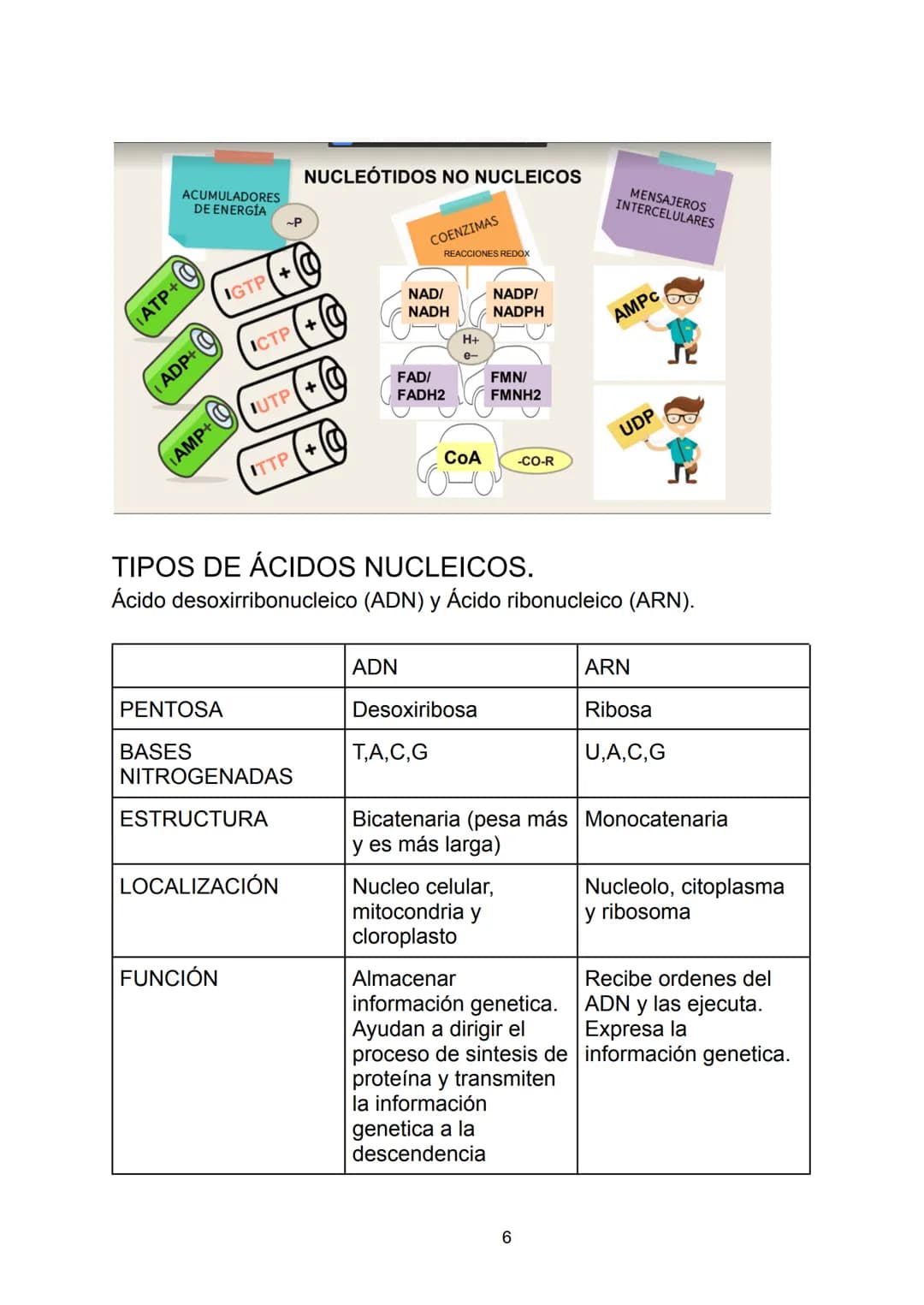 # Ácidos nucleicos.

Indice.

-Ácidos nucleicos.

*   Concepto.

-Nucleótidos.

*   Formación del nucleósido.
*   Formación del nucleótido.
