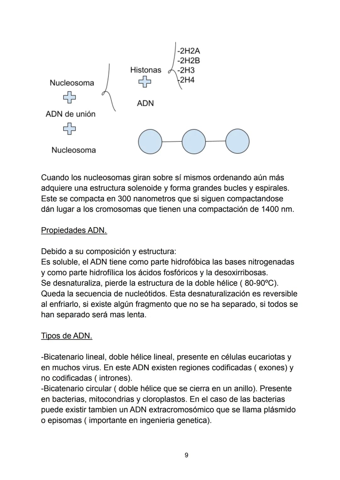 # Ácidos nucleicos.

Indice.

-Ácidos nucleicos.

*   Concepto.

-Nucleótidos.

*   Formación del nucleósido.
*   Formación del nucleótido.
