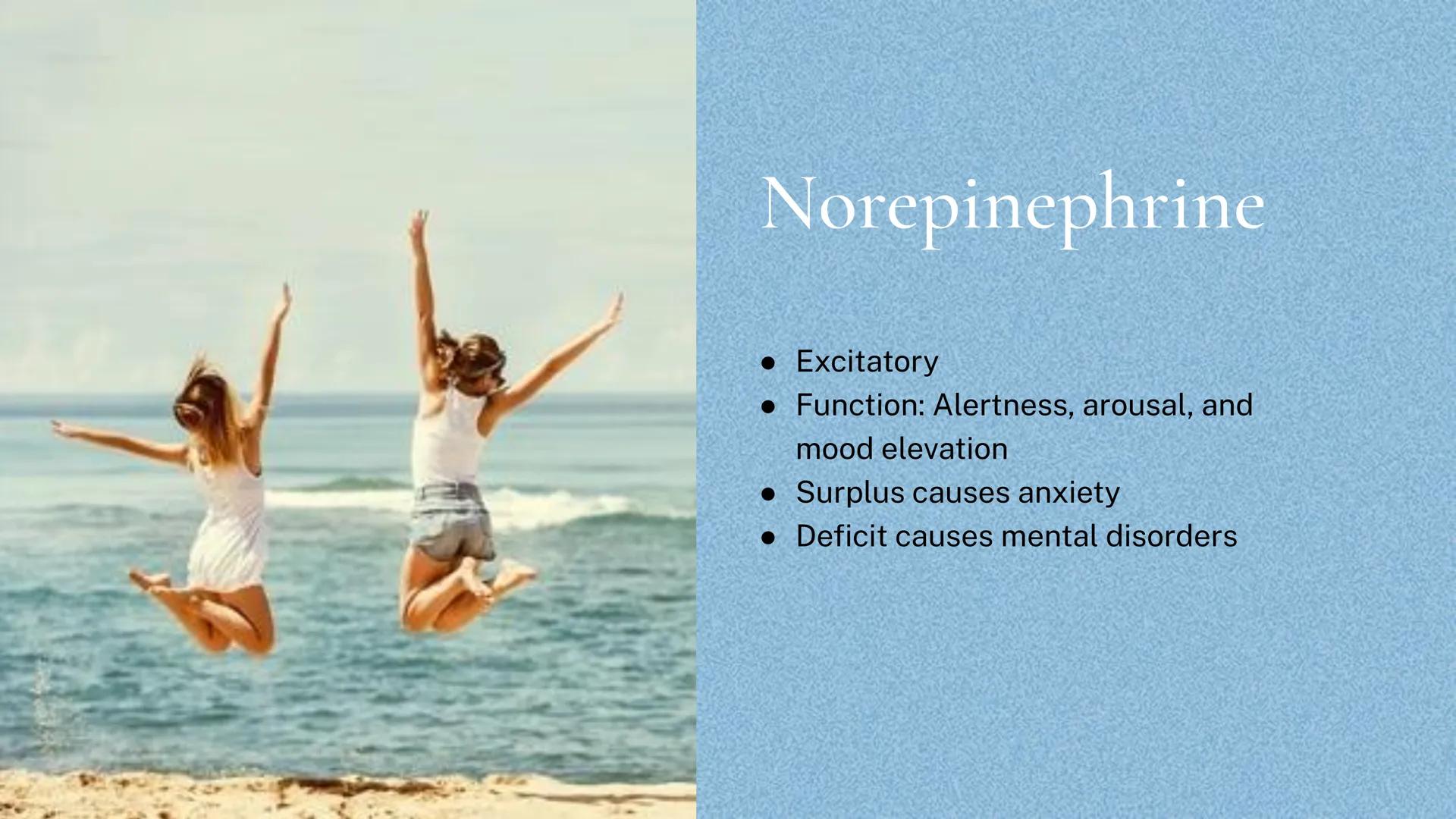 Different kinds of
Neurotransmitters Π

Acetylcholine

• Excitatory

• Functions: muscles, memory,
learning, and attention

• Surplus leads 