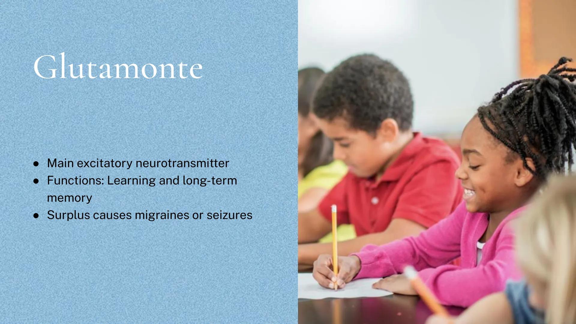 Different kinds of
Neurotransmitters Π

Acetylcholine

• Excitatory

• Functions: muscles, memory,
learning, and attention

• Surplus leads 