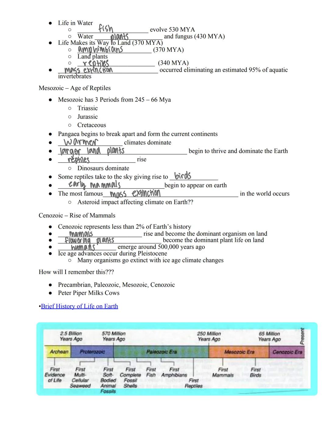 Name: Mai Thy, Smith

Brief History of Life on Earth: Fossils, & The Geologic Time Scale

Let's Take a Closer Look
:
*   Earth's age is beli
