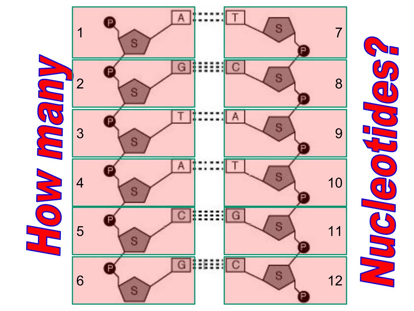 001000110000001000000009AC0001100000010
110000000000000101000
0001110
0011111100101GGCTG
0000000000000
01
0
10001
110000001000
0
10011111100