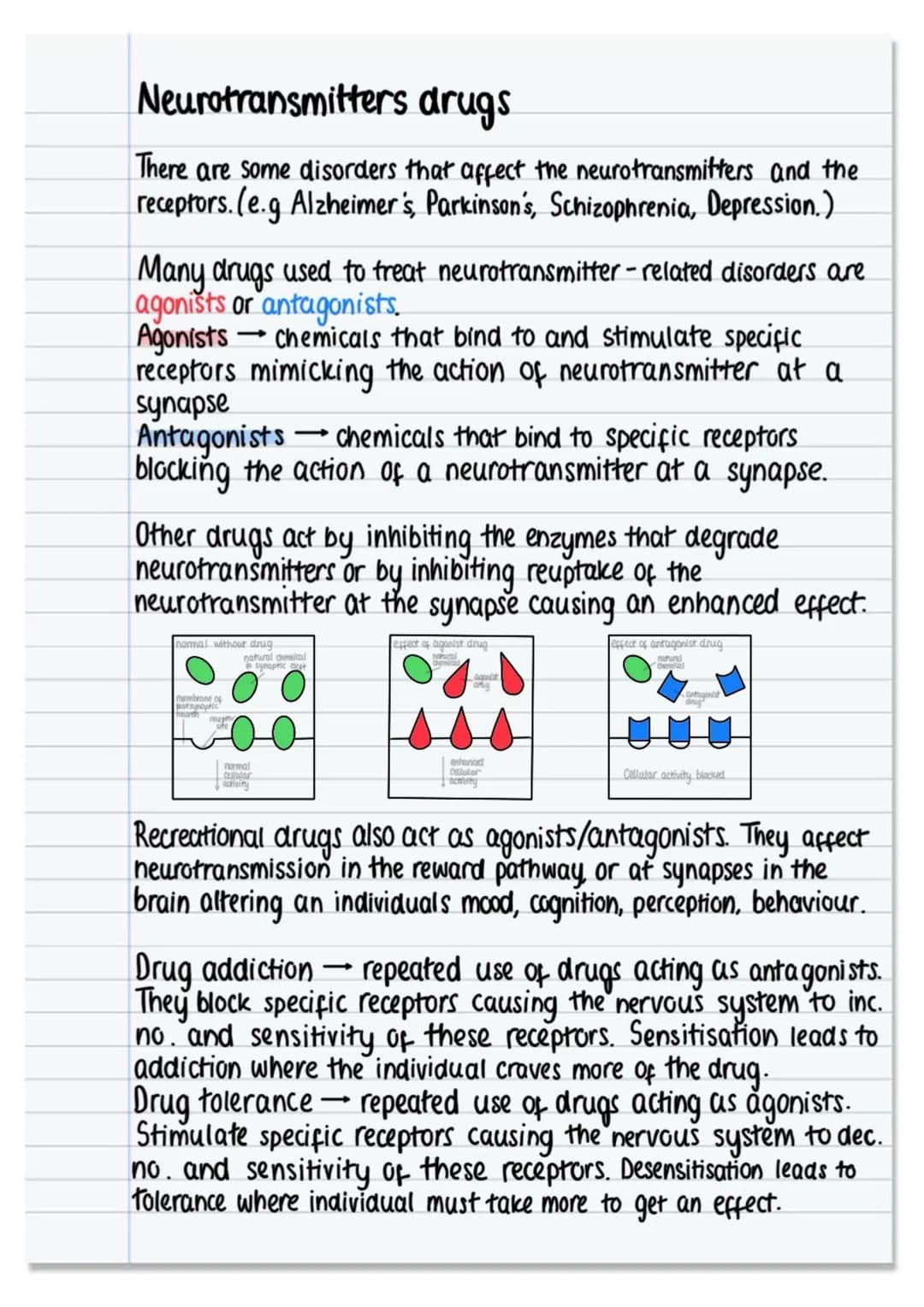 # The nervous system and neural pathways

nervous system

CNS
PNS

control
under involuntary
under voluntary
brain spinal cord
ANS
SNS contr