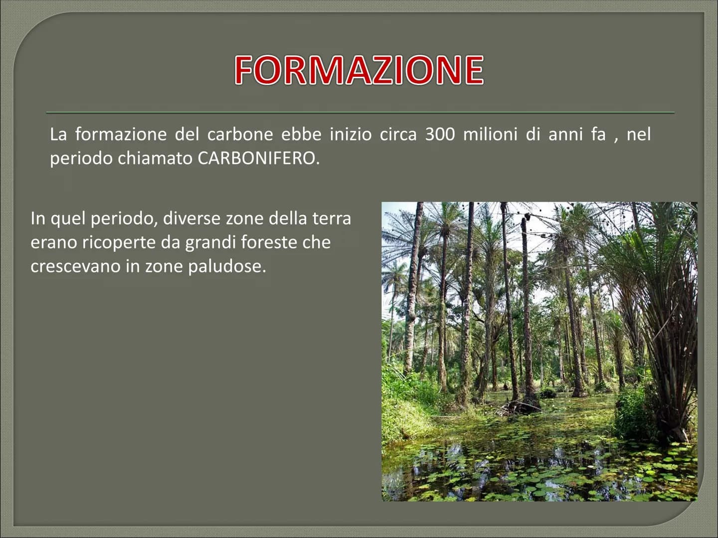 # IL CARBONE CHE COS'E' # CHE COS'E'?

Il carbone è:
- il combustibile fossile solido di origine vegetale
- È il combustibile fossile più di