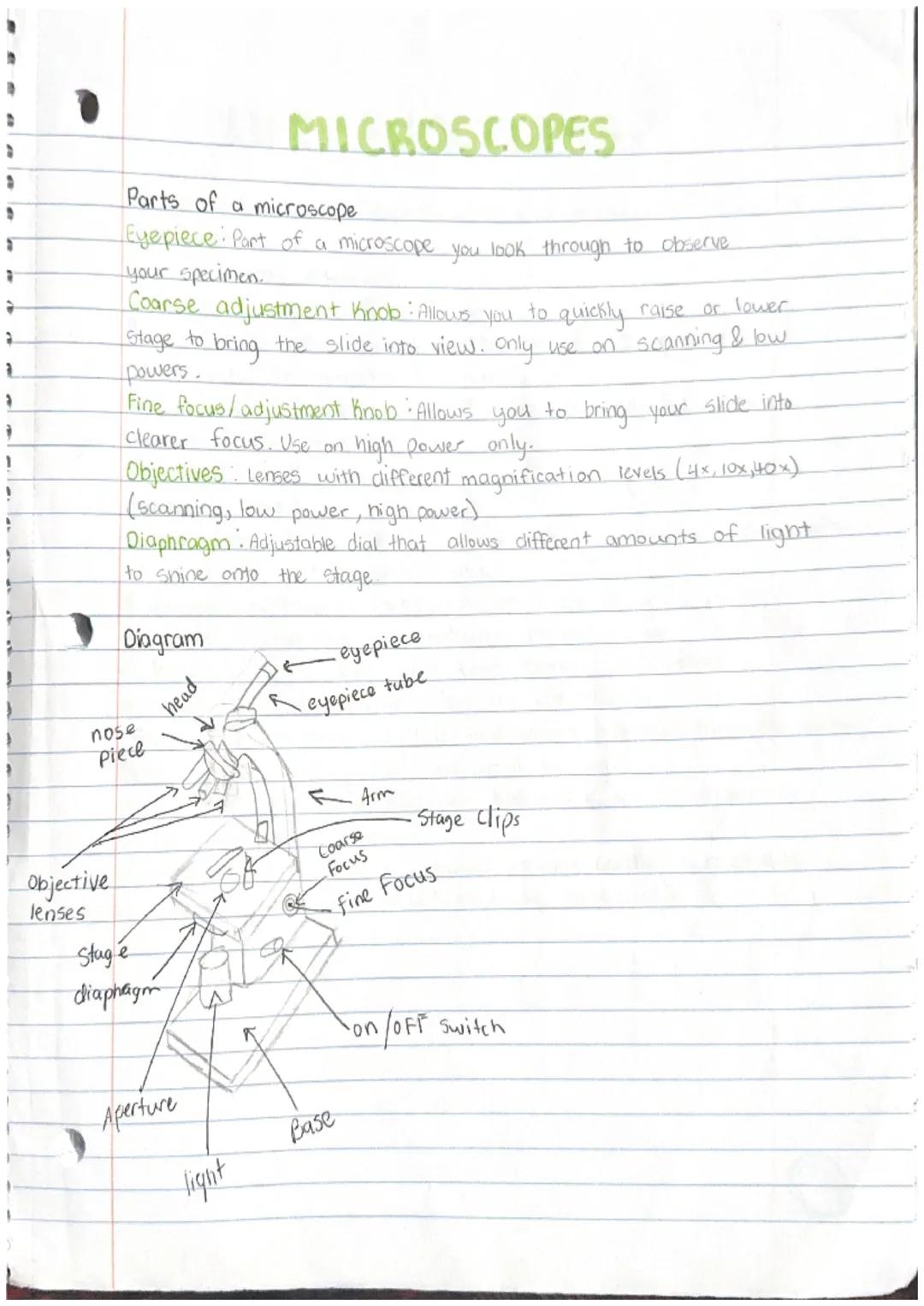 # MICROSCOPES

Parts of a microscope

Eyepiece: Part of a microscope you look through to observe
your specimen.

Coarse adjustment knob: All