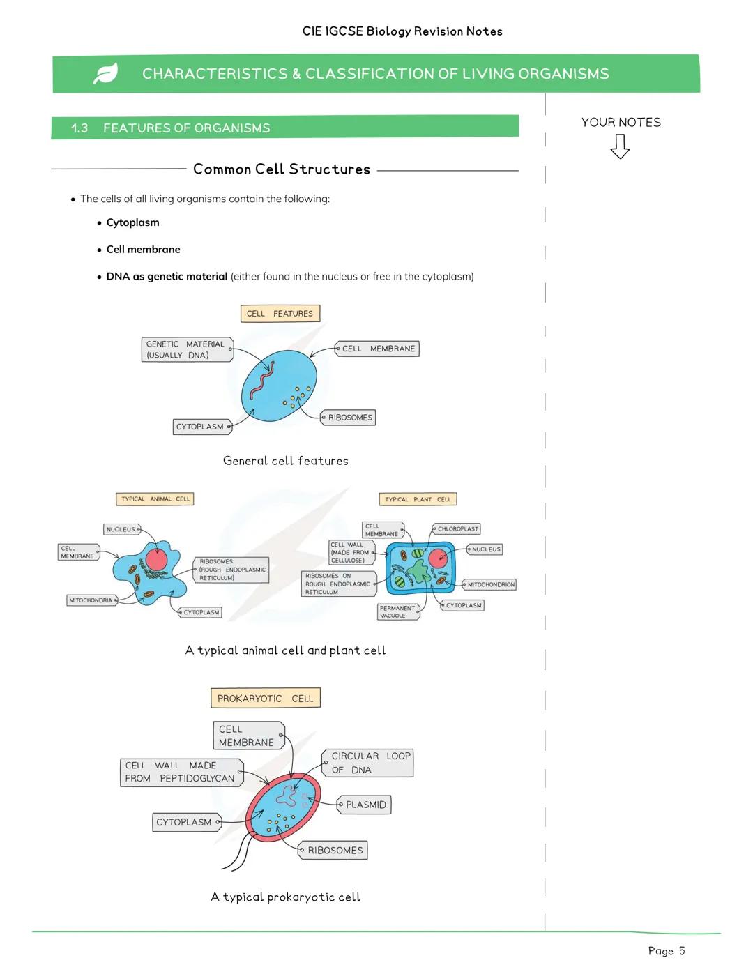 CIE IGCSE Biology Revision Notes

CHARACTERISTICS & CLASSIFICATION OF LIVING ORGANISMS

CONTENTS:

1.1 CHARACTERISTICS
1.2 CLASSIFICATION
1.
